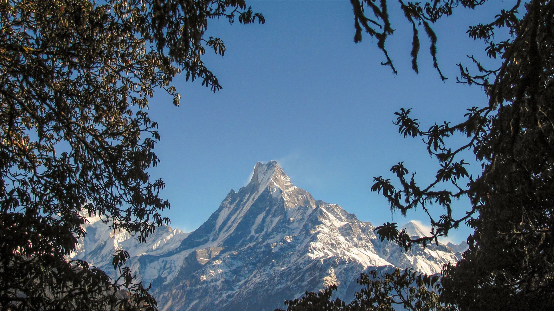 Höhepunkte von Nepal