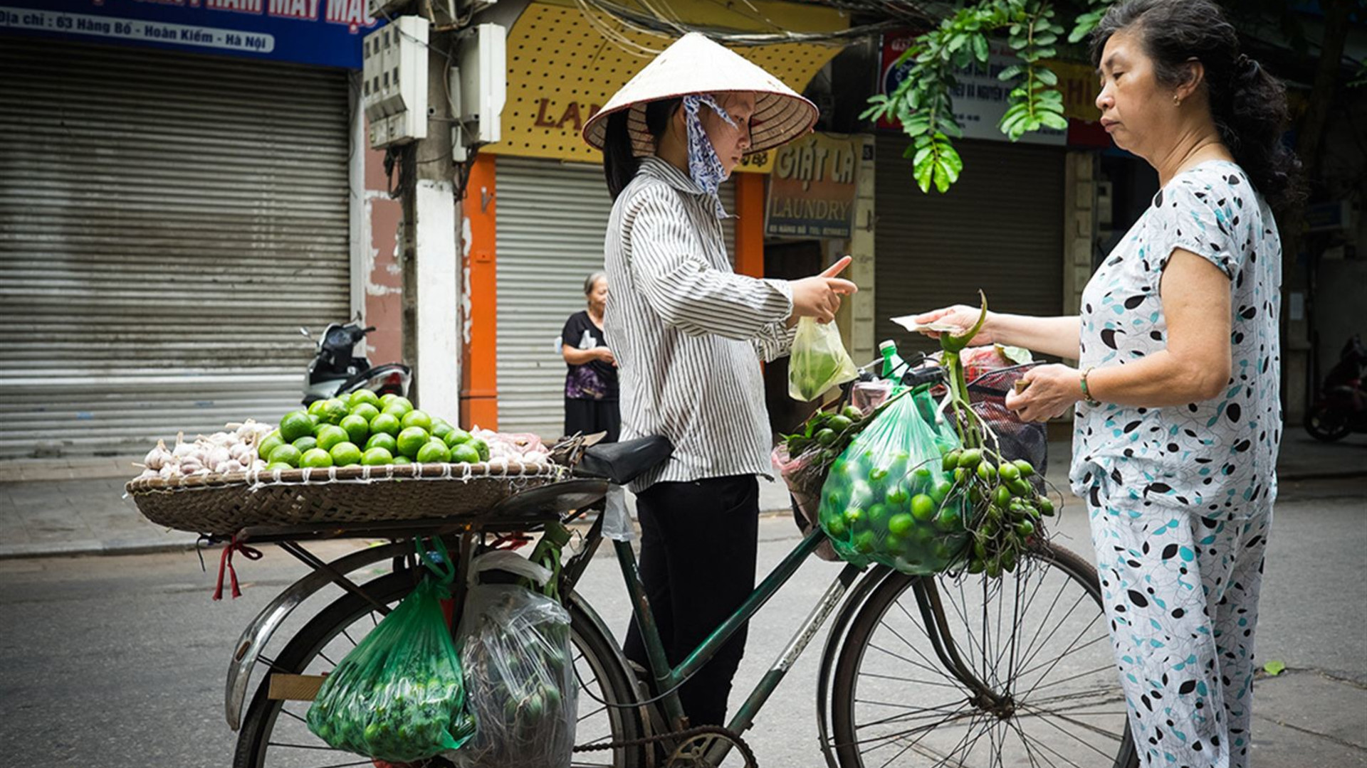 Scenic Vietnam