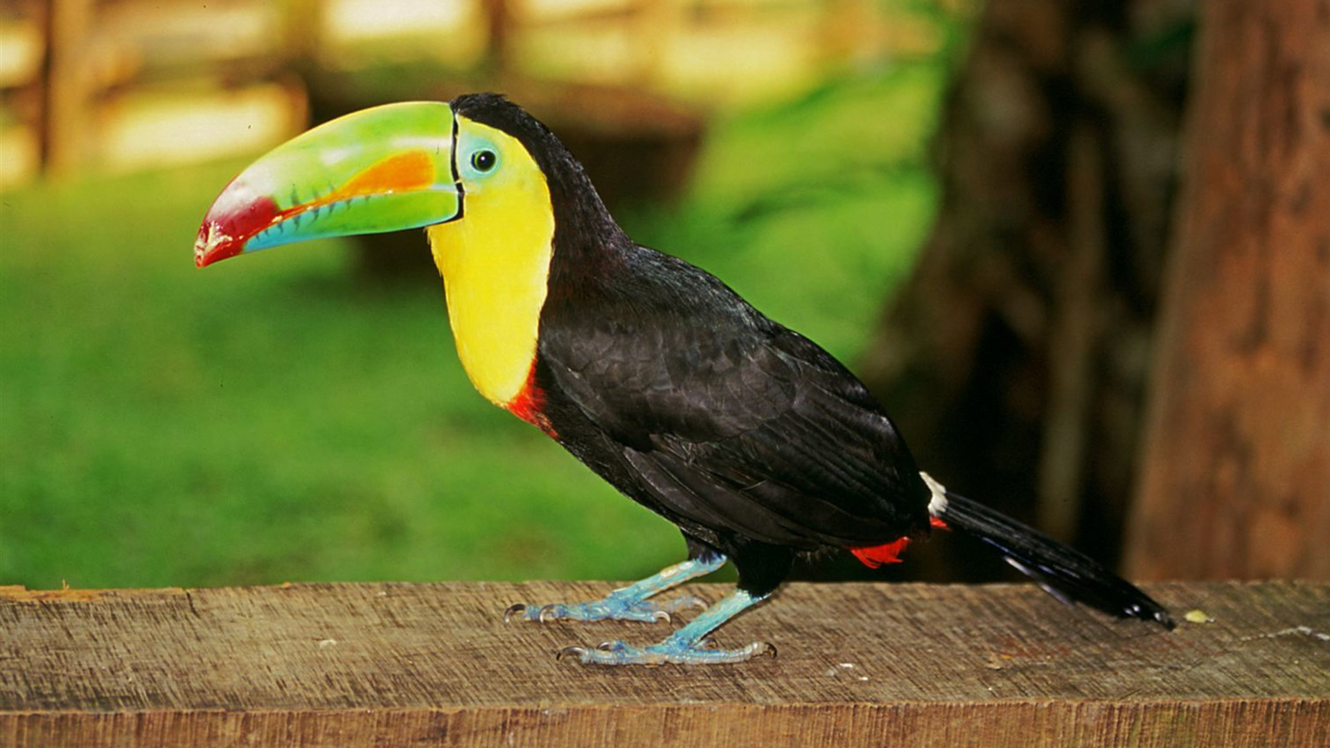 Costa Rica World Nature