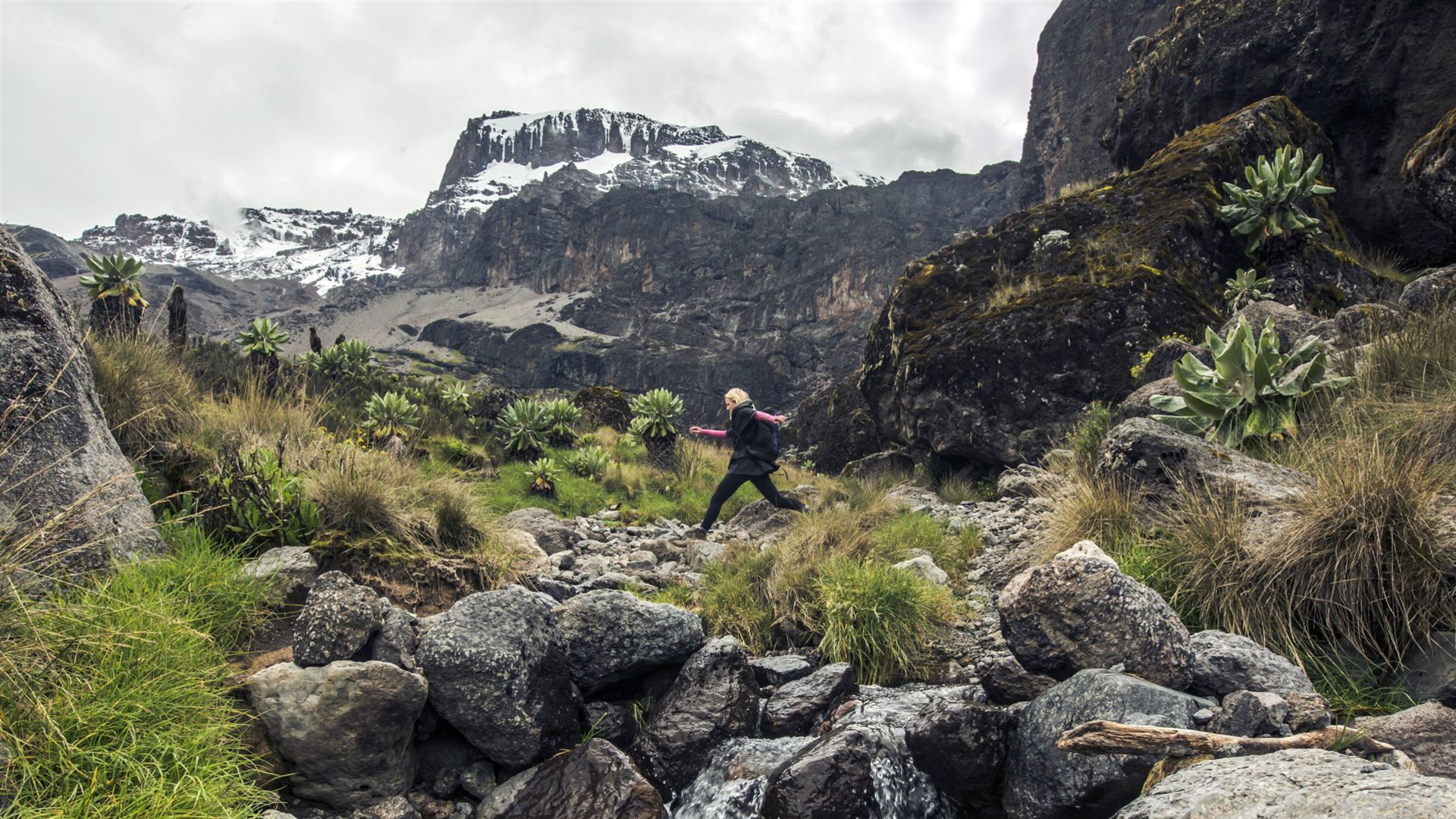 Kilimandscharo – Machame-Route & Serengeti