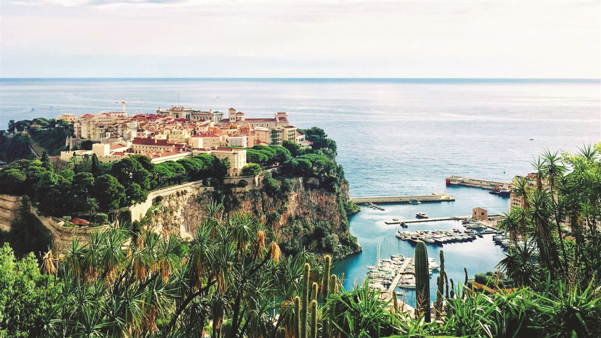 Spotlight on the French Riviera
