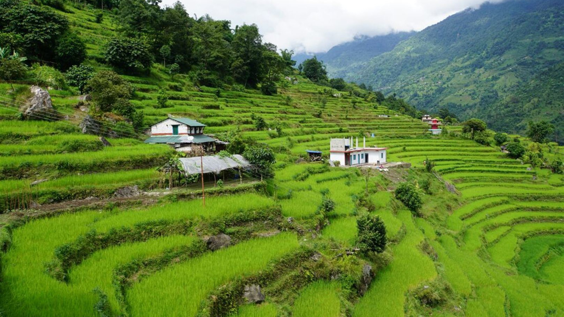 Premium Hiking and Trekking in Nepal's Annapurna region
