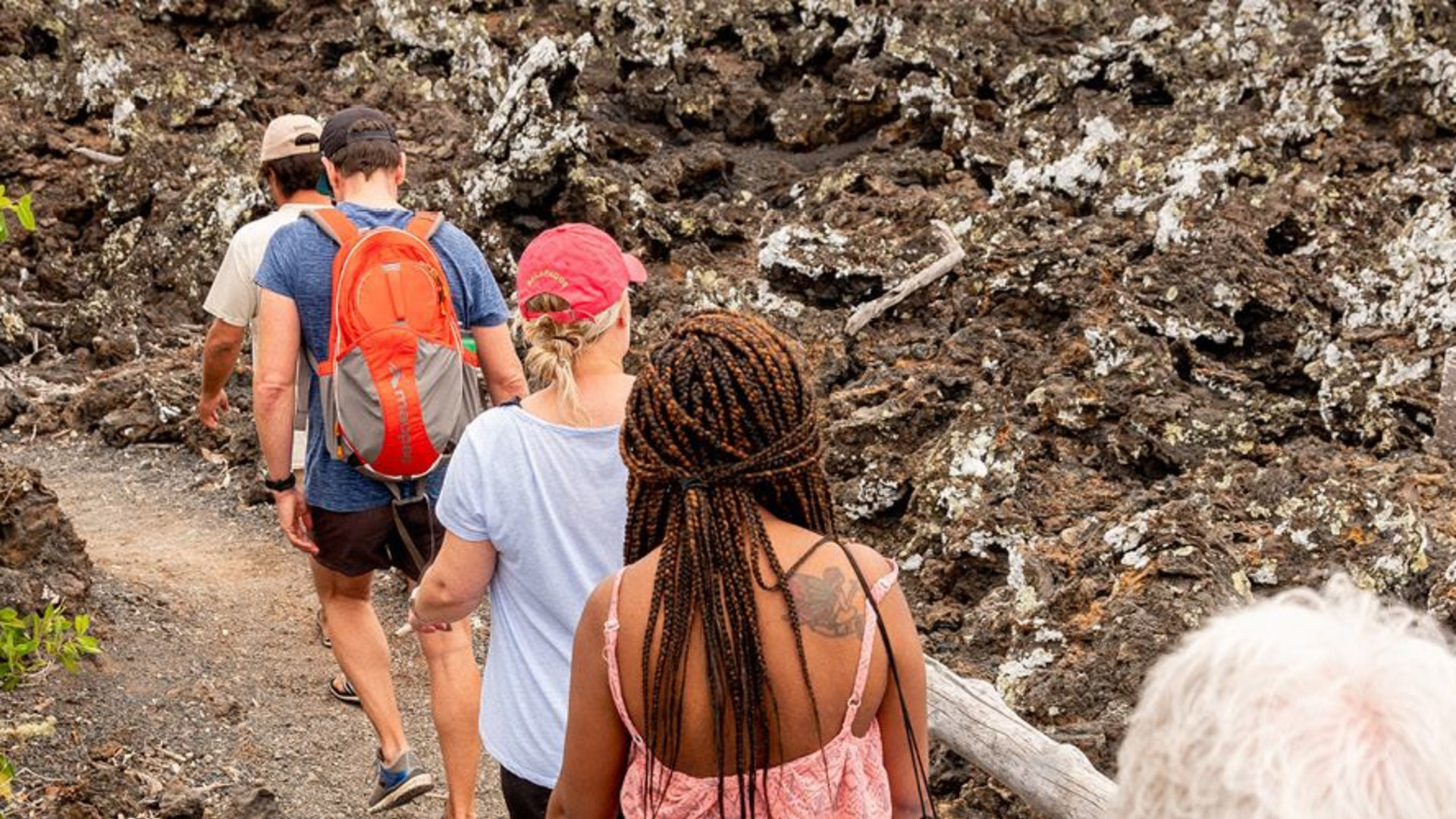 Best of Galapagos 