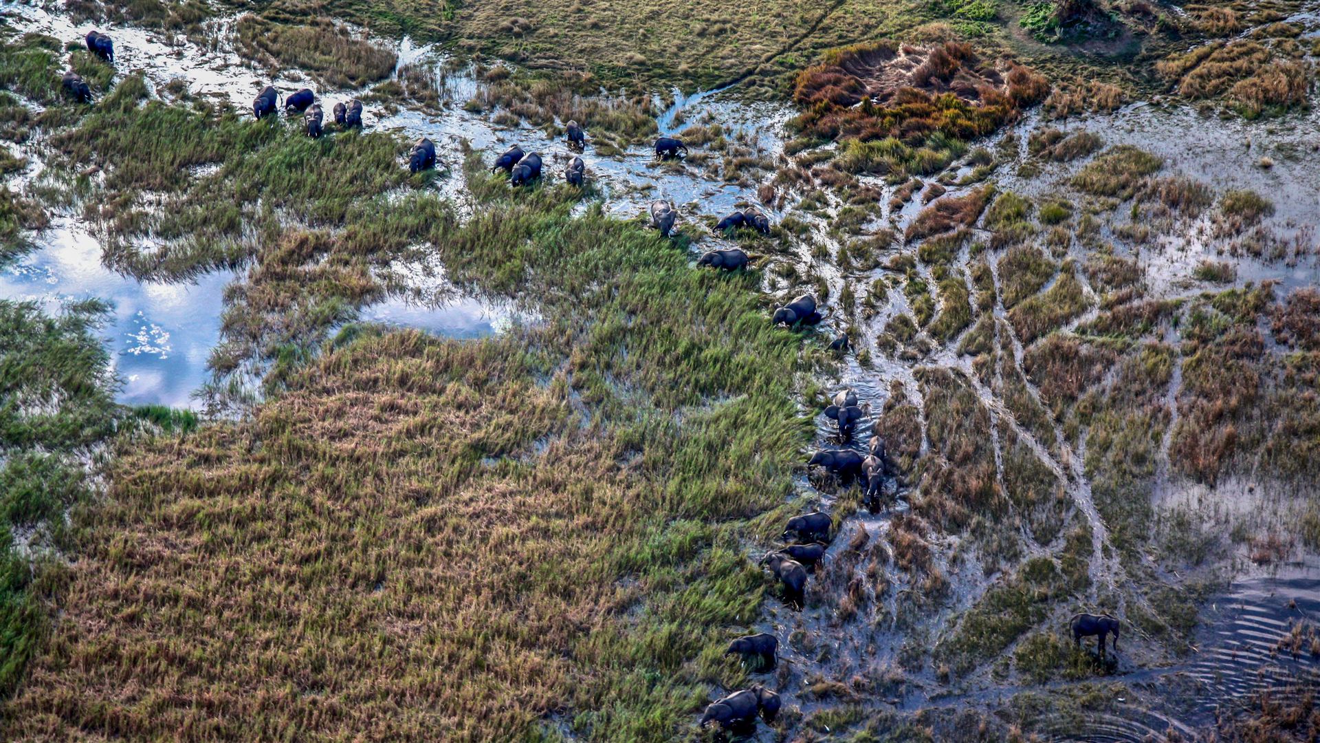 Journeys: Safari im Südlichen Afrika