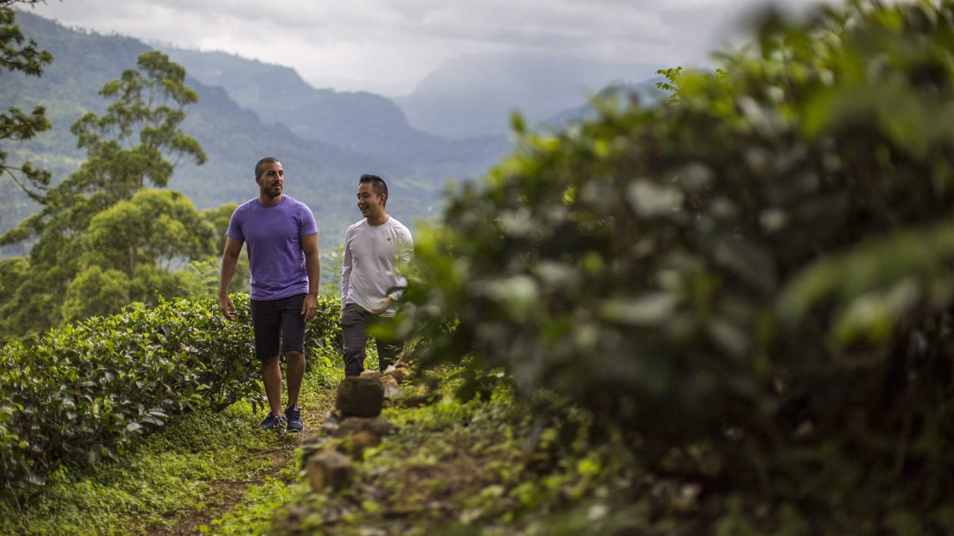 Journeys: Discover Sri Lanka