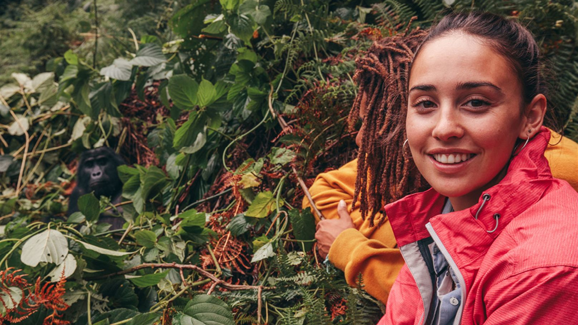 Johannesburg to Gorillas