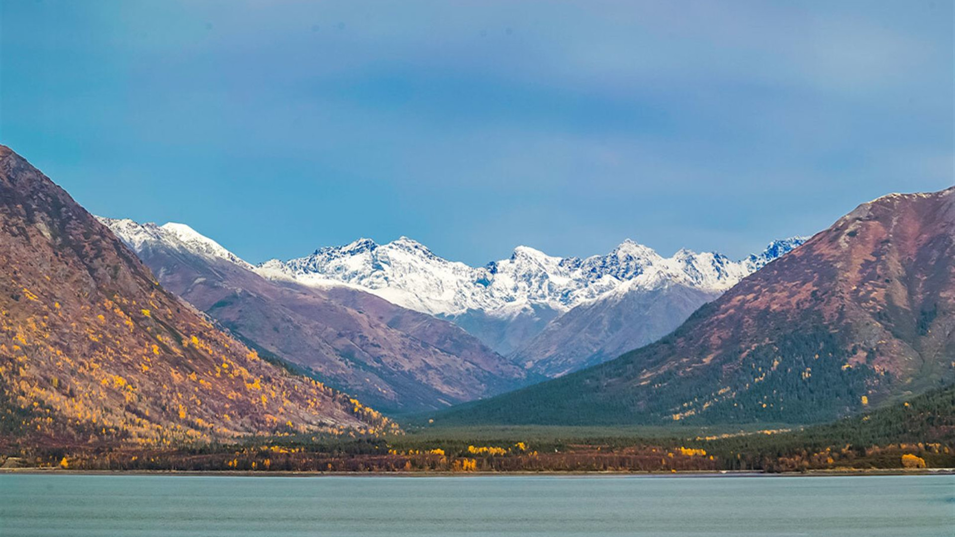 Alaska Discovery		