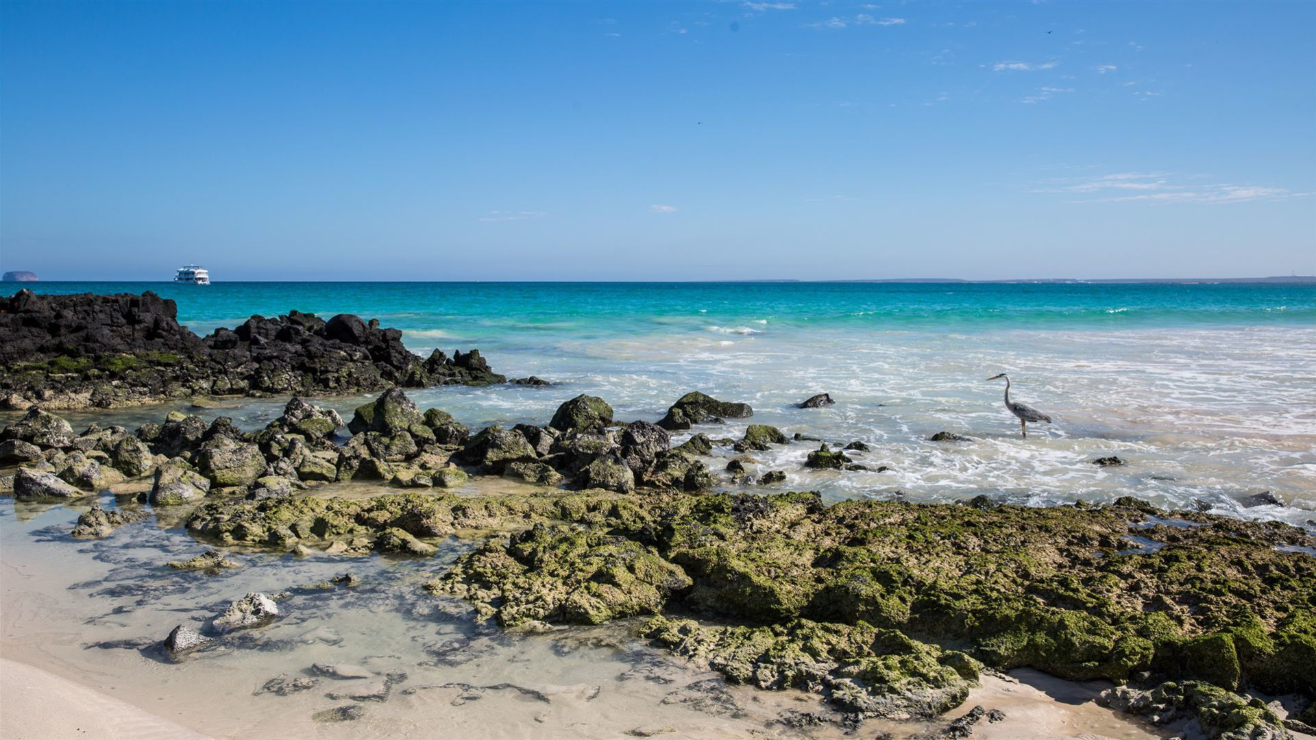 Galápagos Insel-Hopping