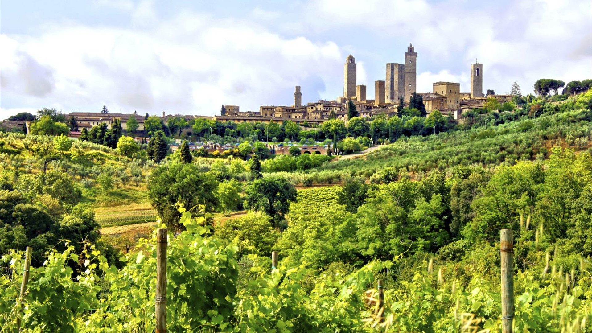 Tuscany Walks & Chianti Wines