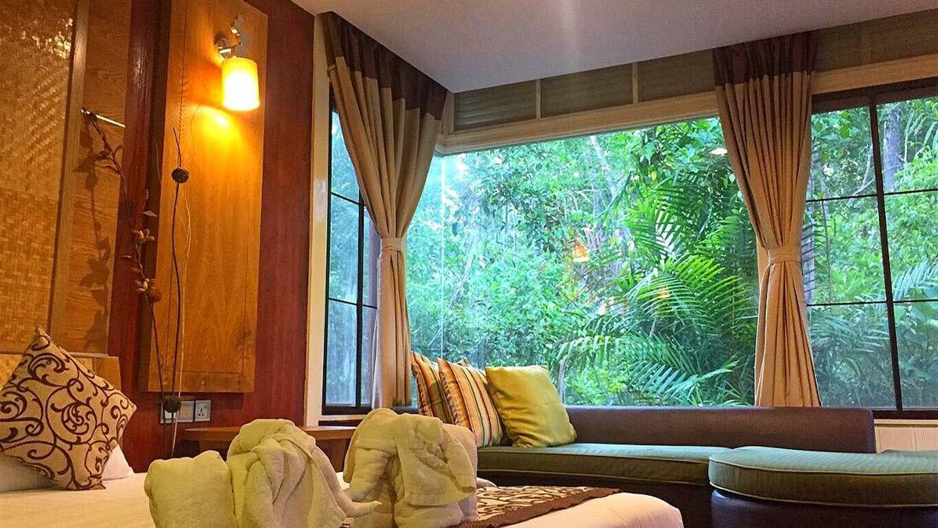 Premium Borneo in Depth