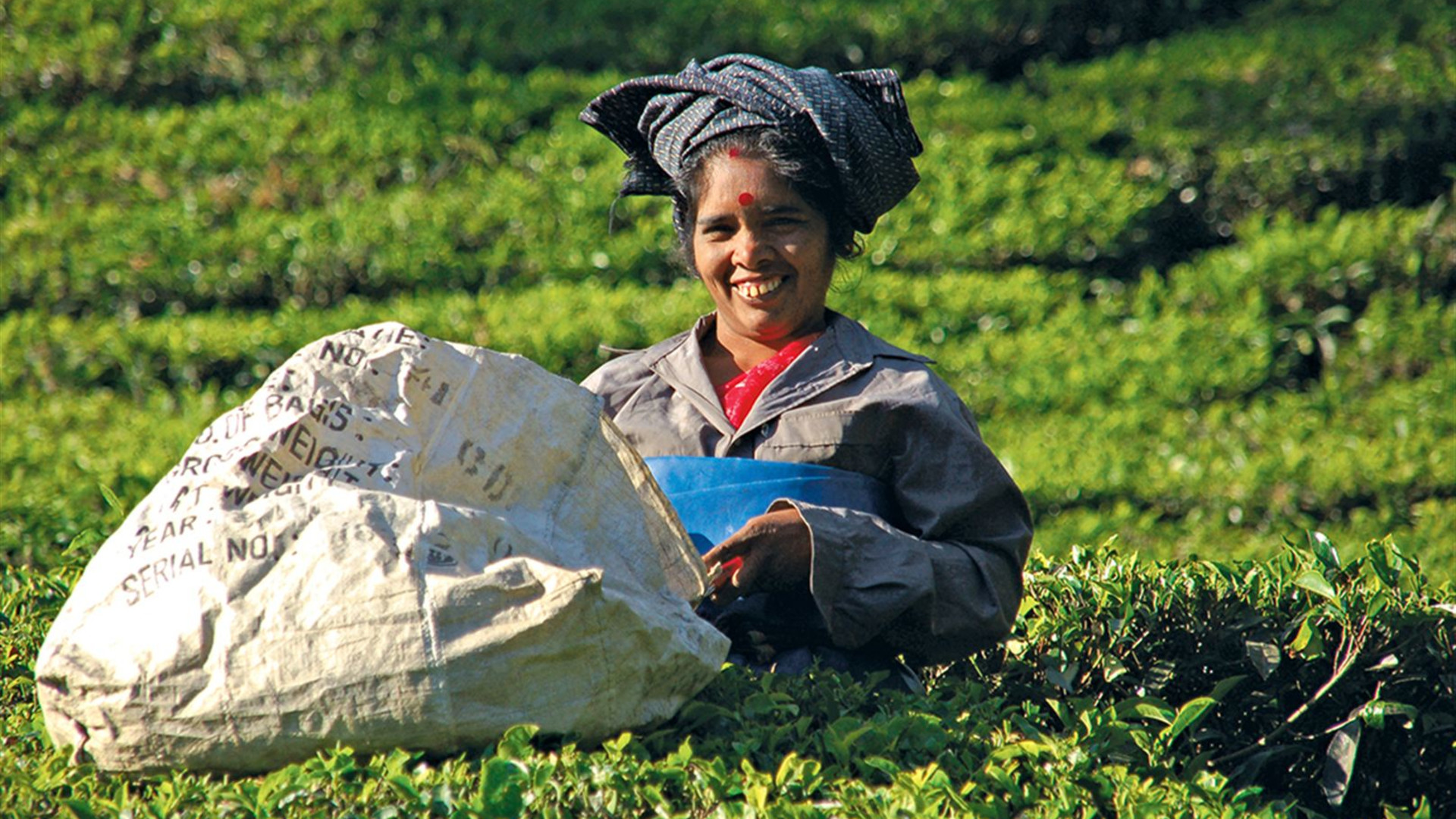 Southern India