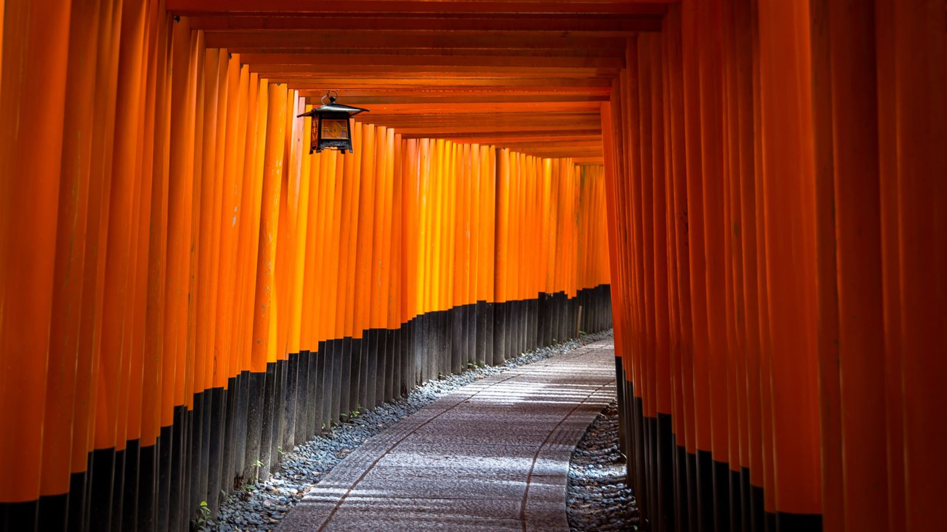 Cultural Treasures of Japan