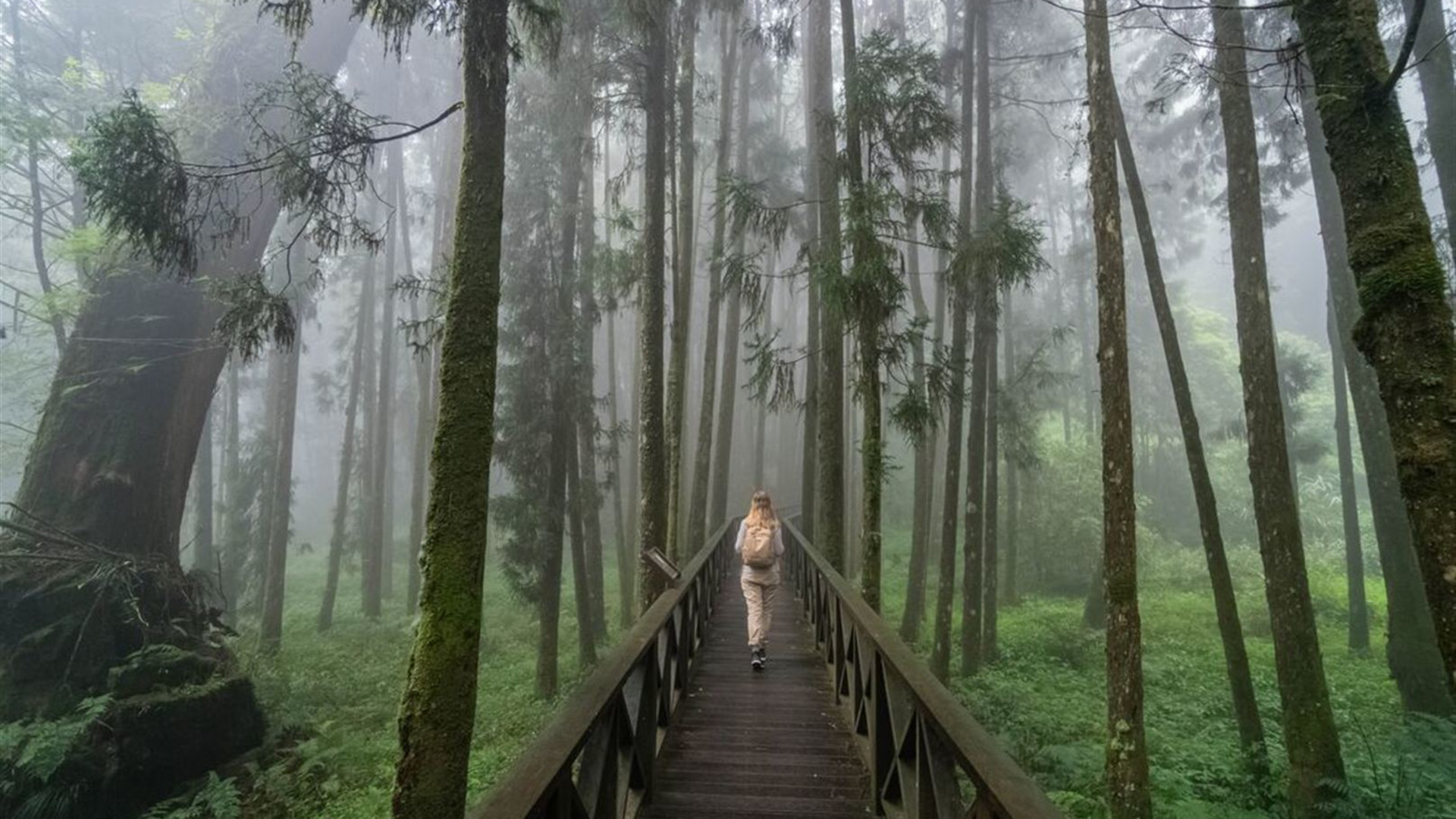 Explore Taiwan