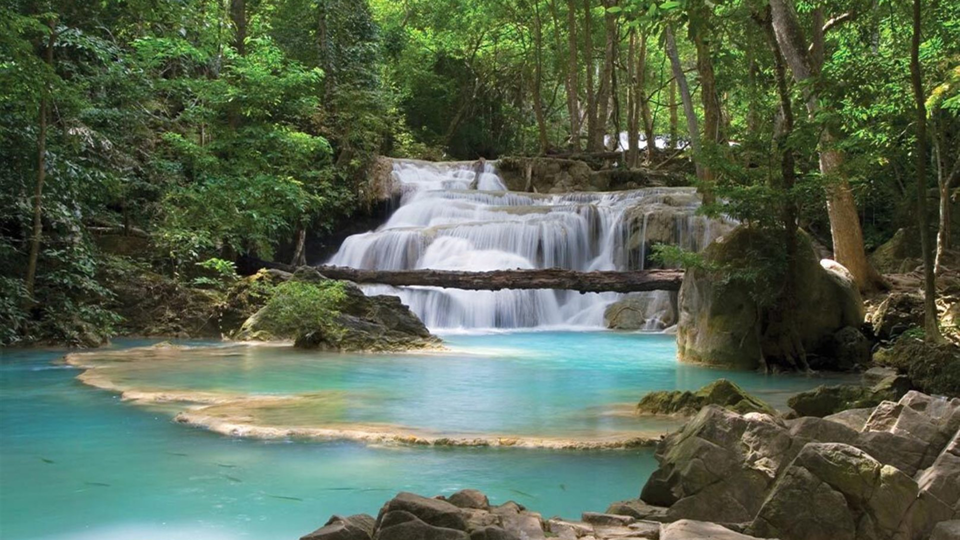 Premium Northern Thailand