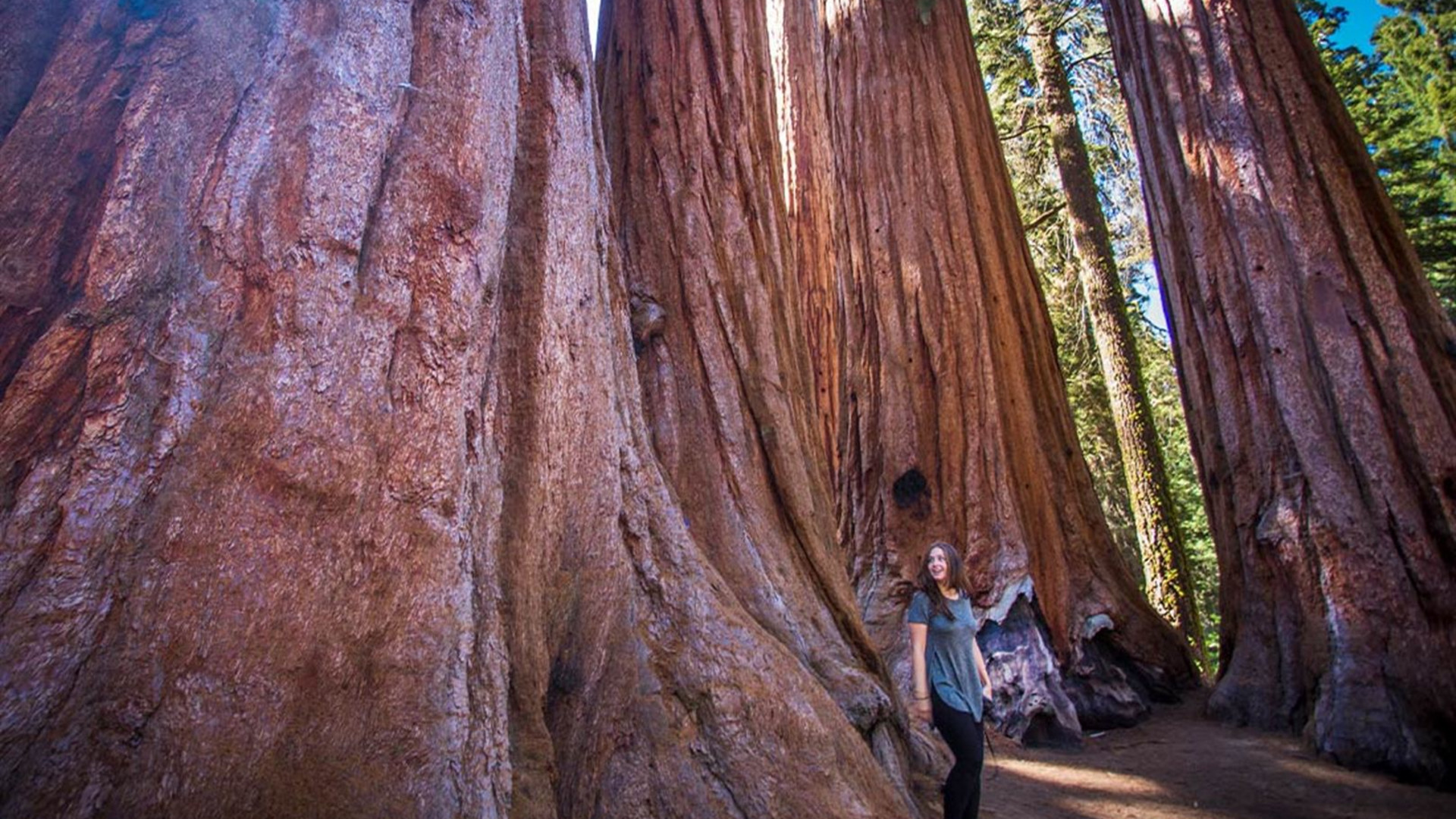 Best of California's National Parks