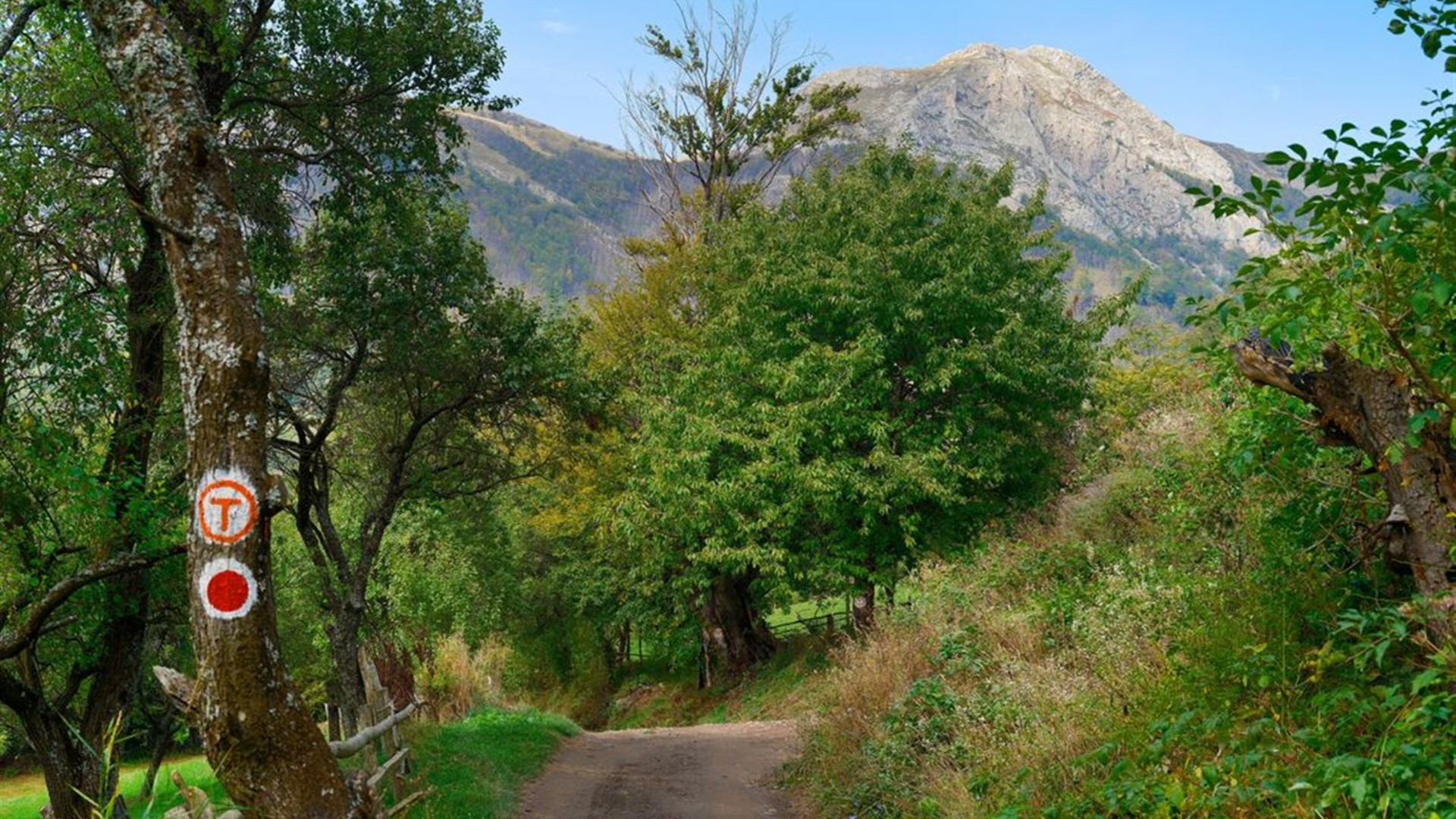 Hiking in Romania: Via Transilvanica Trail