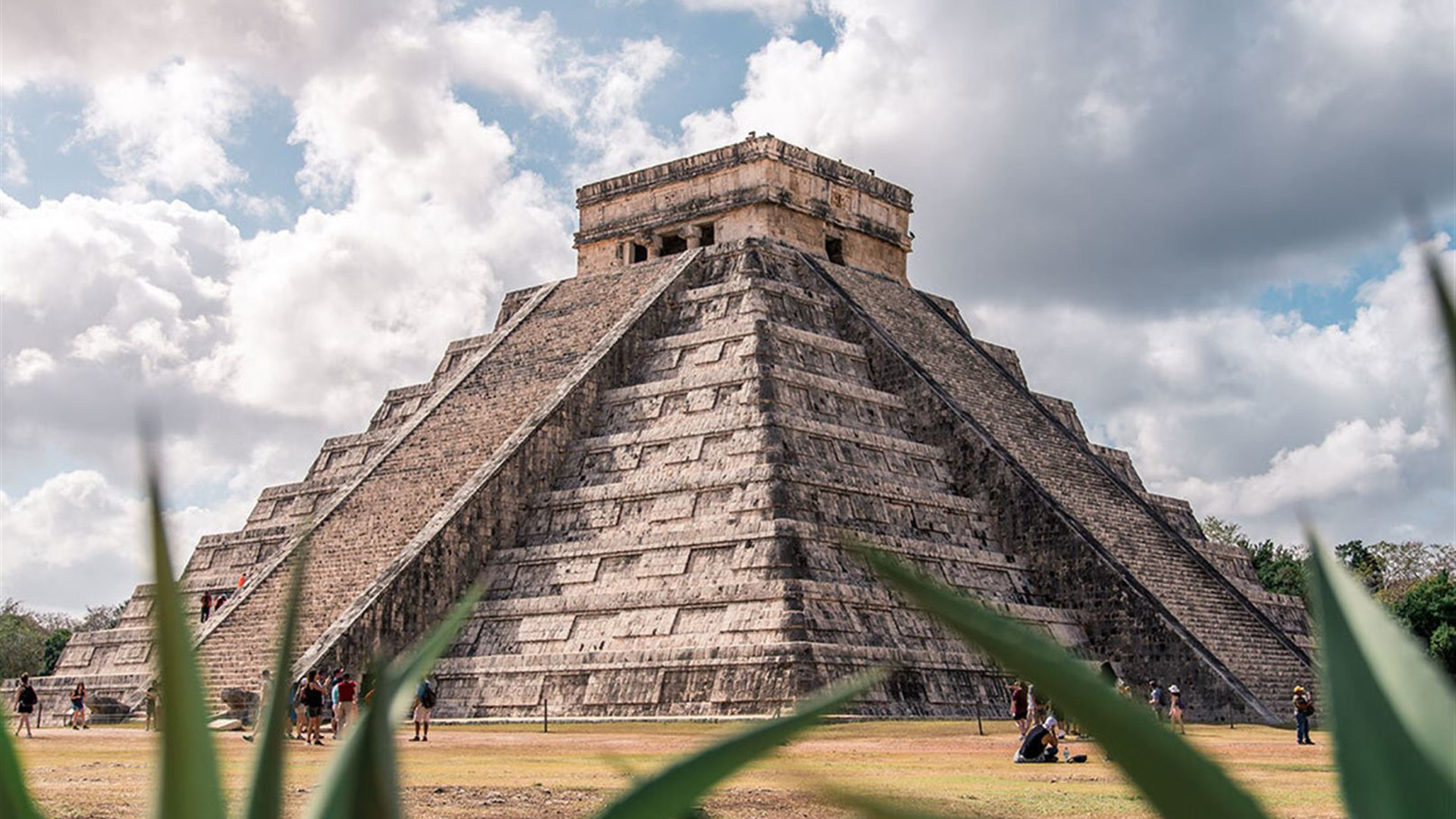 Premium Mexico in Depth