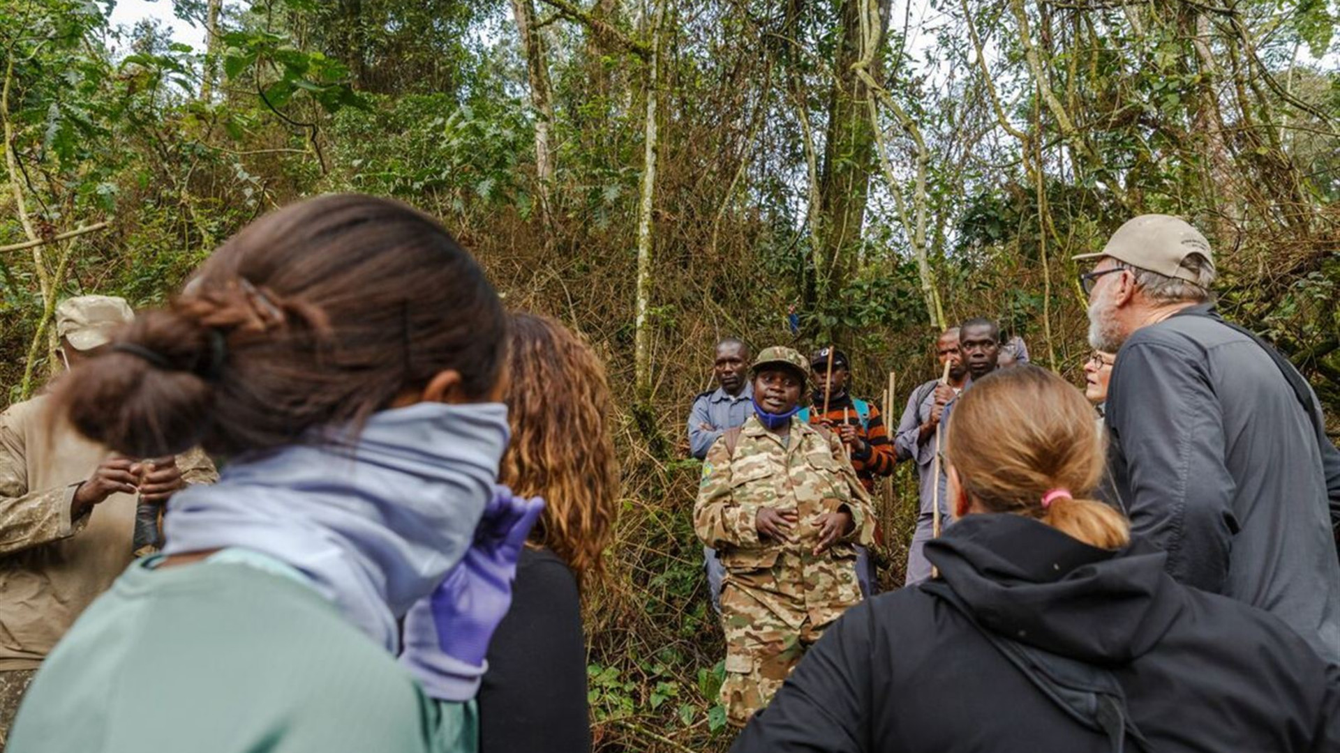 Premium Rwanda & Gorillas of Uganda