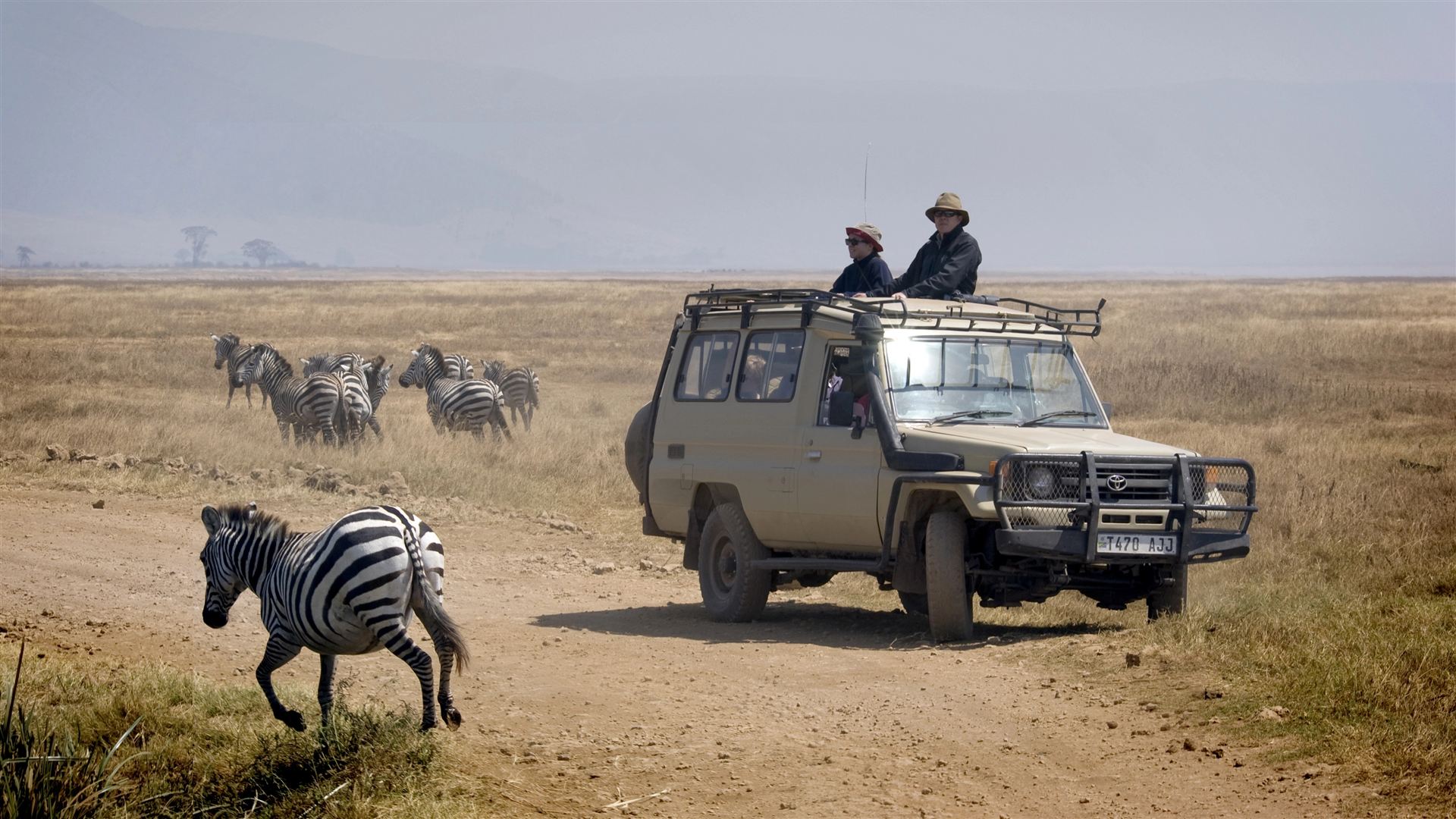 Tansania unentdeckt: Die Tierwelt der Serengeti und des Ngorongoro-Kraters