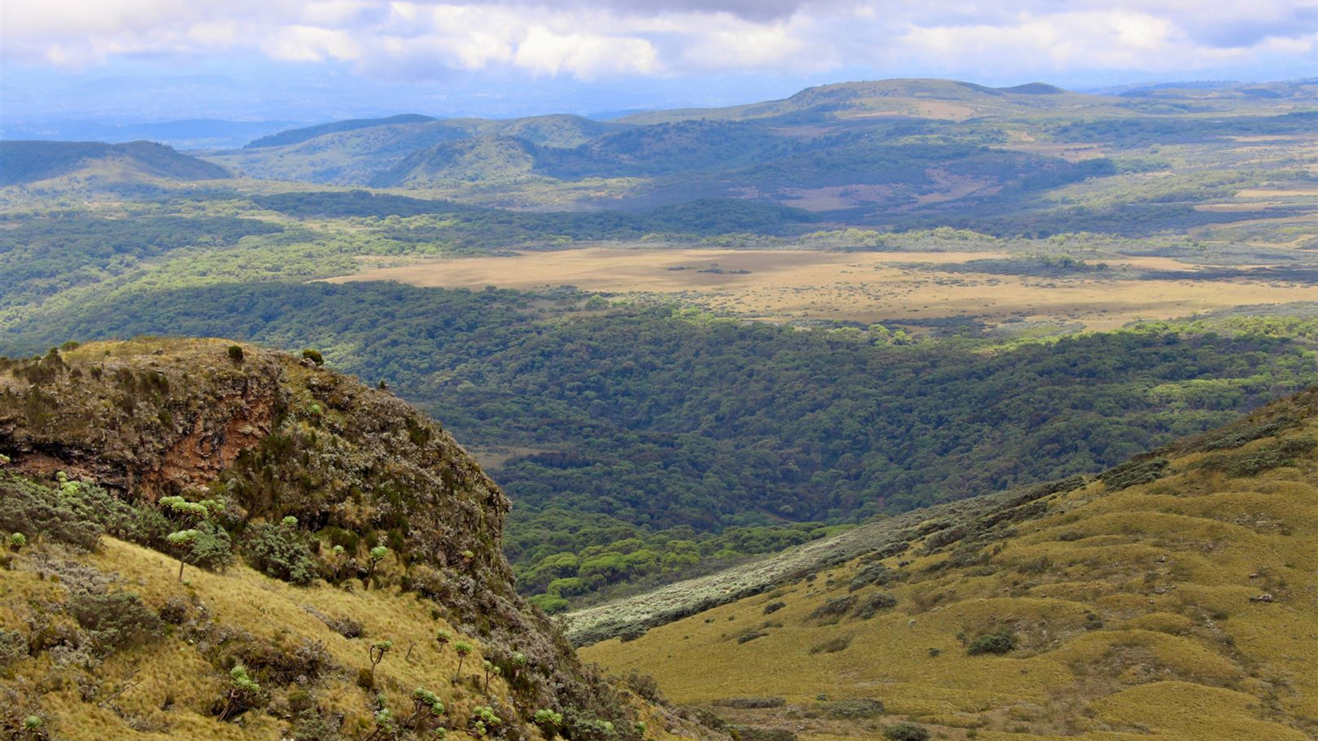 The Plains of Africa