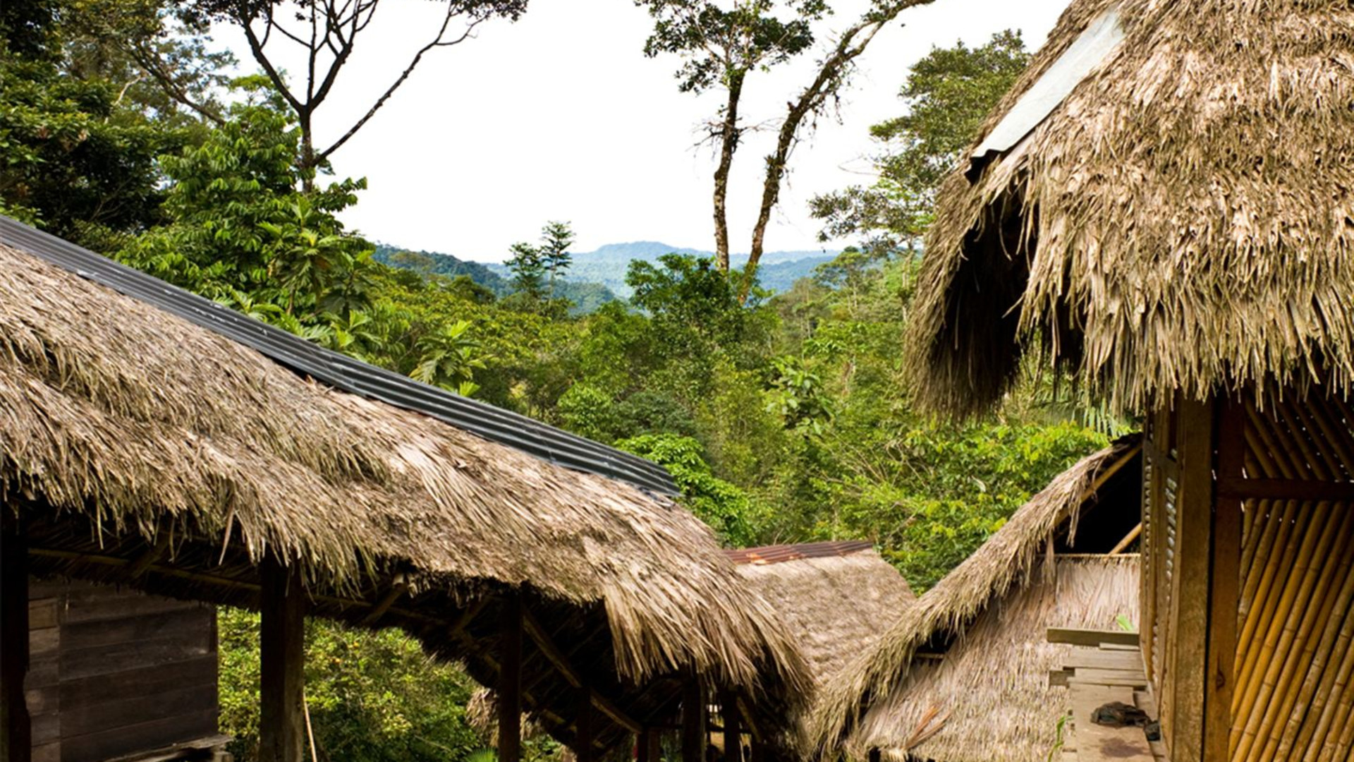 Journeys: Ecuador’s Amazon and Volcanoes