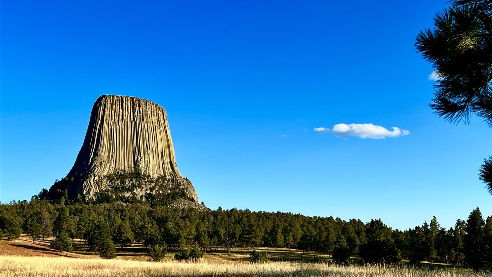 Spotlight on South Dakota