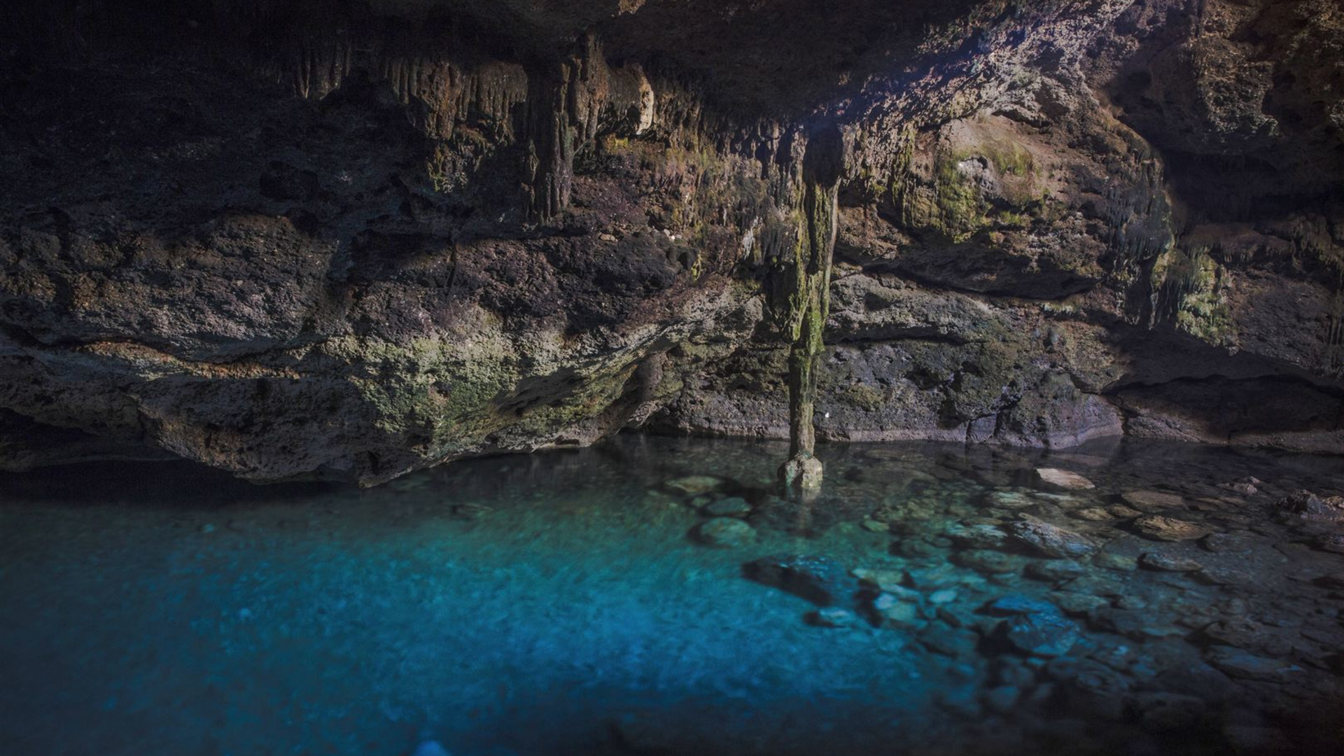 Cancun Escape: Beaches, Cenotes, & Crystal-Clear Water