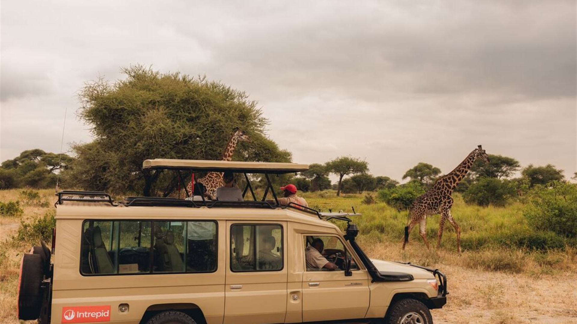 Premium Kenya & Tanzania