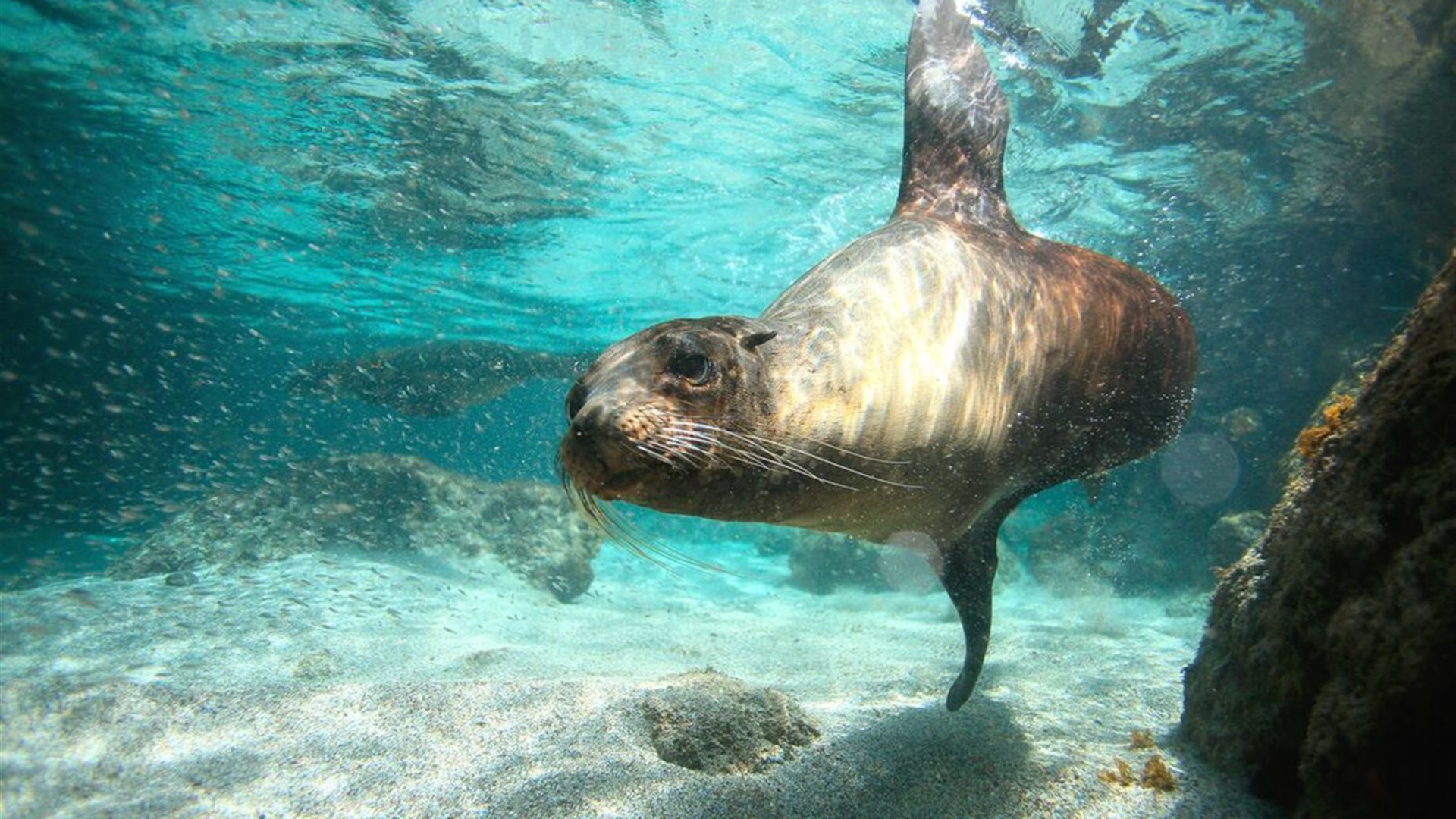 Ecuador Highlands & Galapagos 