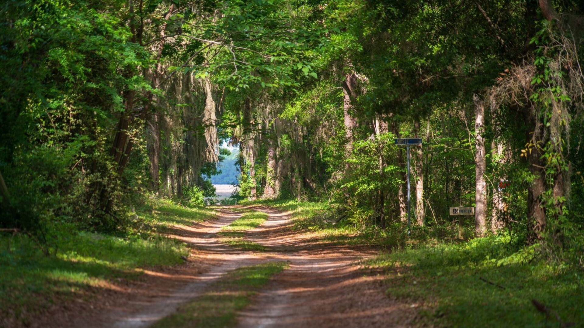 Best of the South: Charleston to New Orleans 