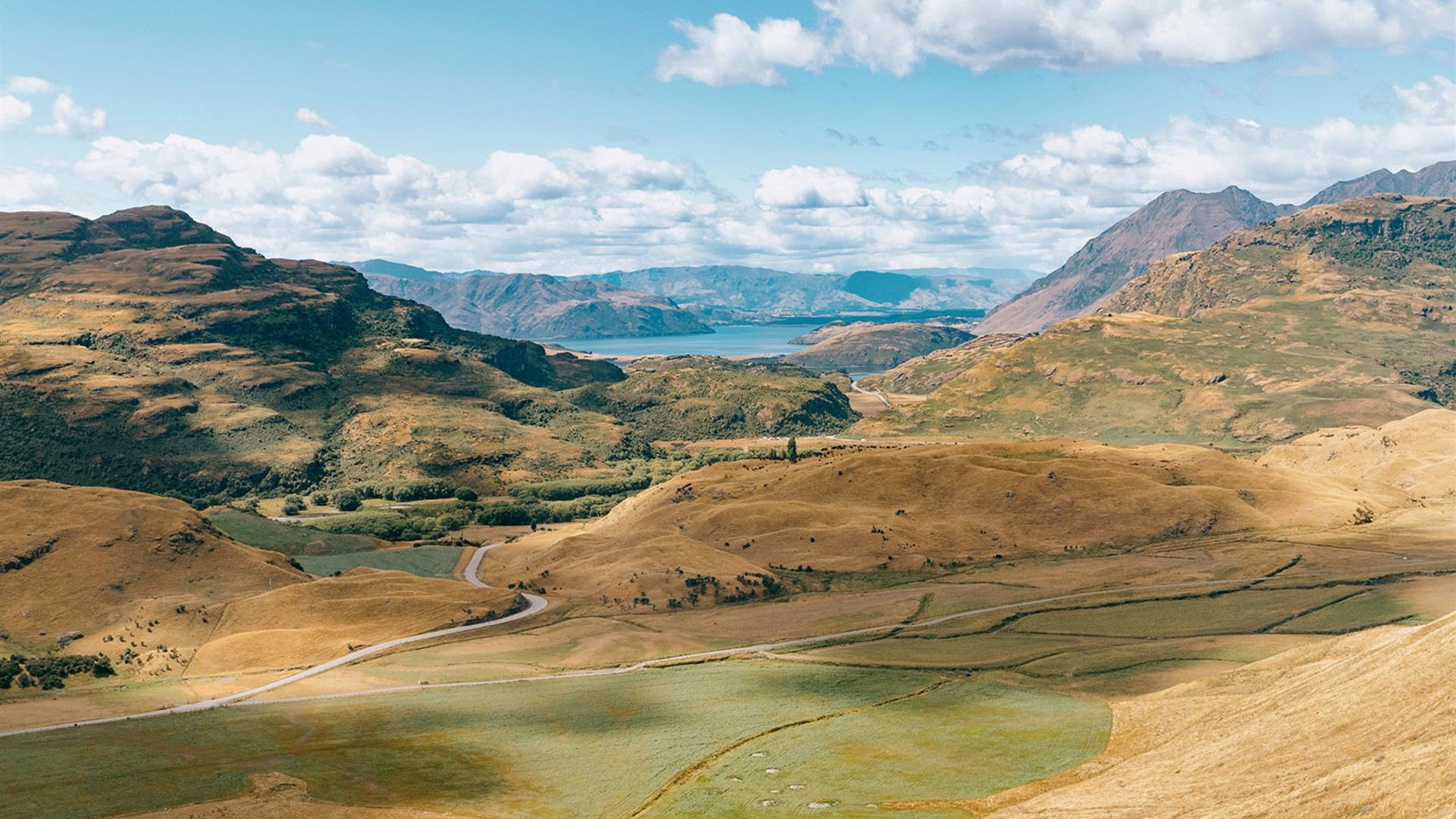 New Zealand: Northern Choice