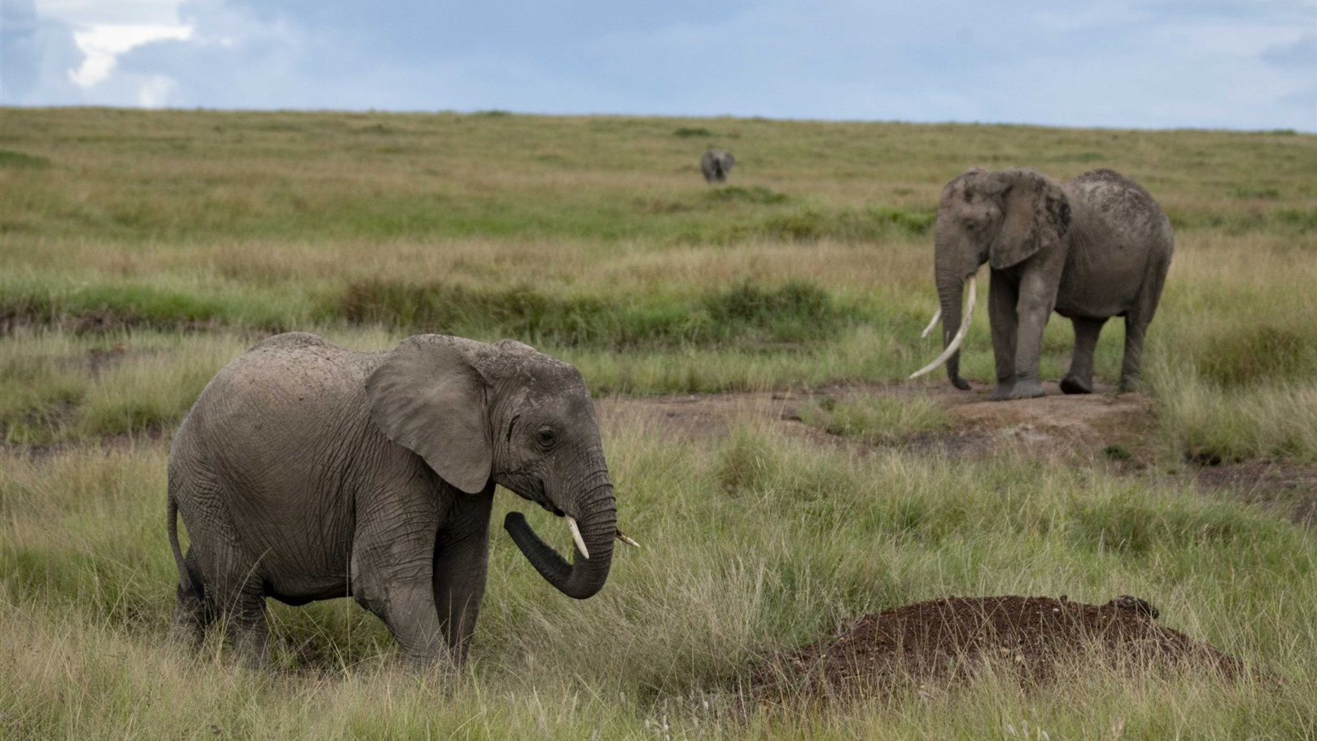 Masai & Tansania Camping-Safari