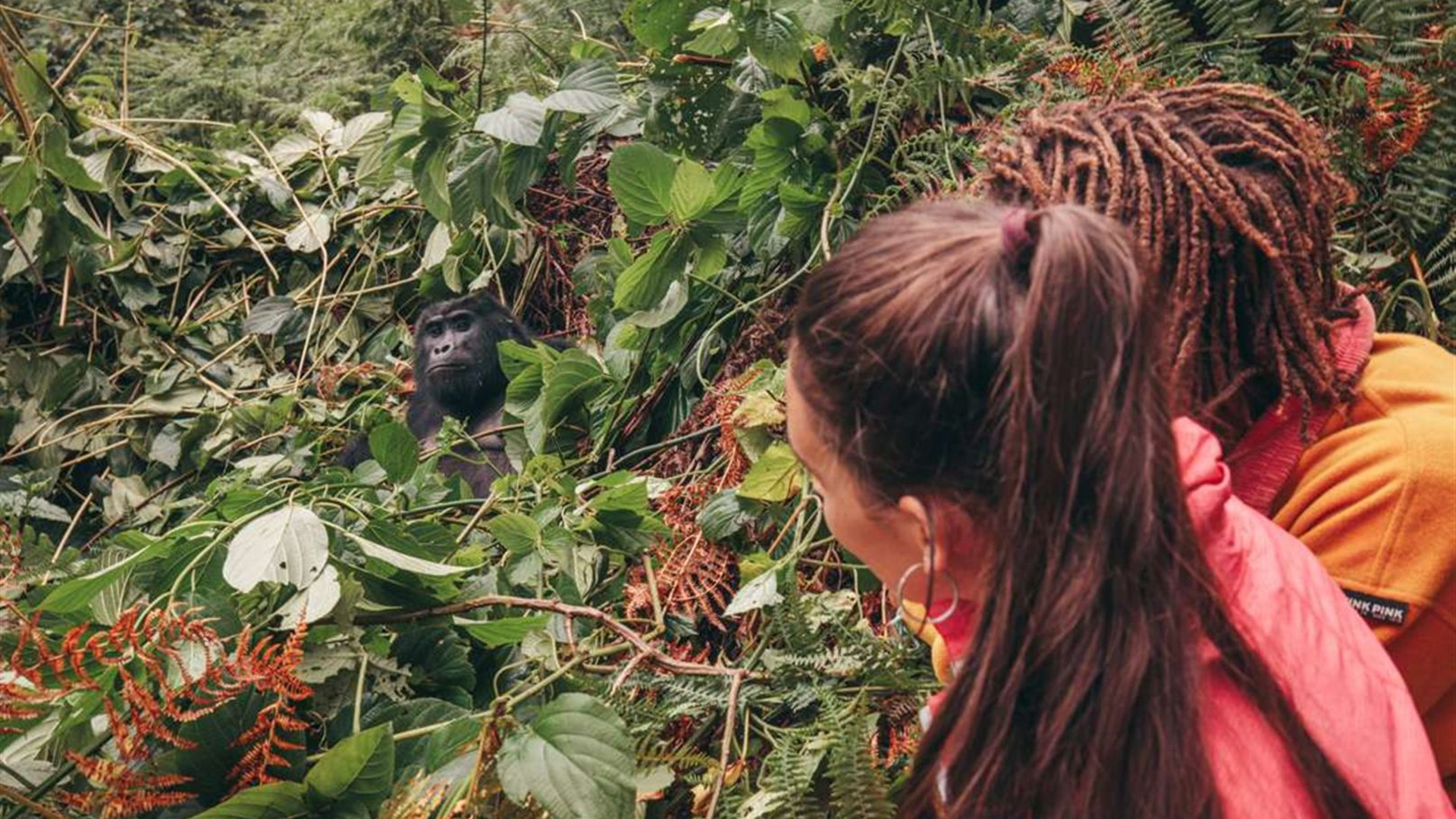 Africa Encompassed Northbound