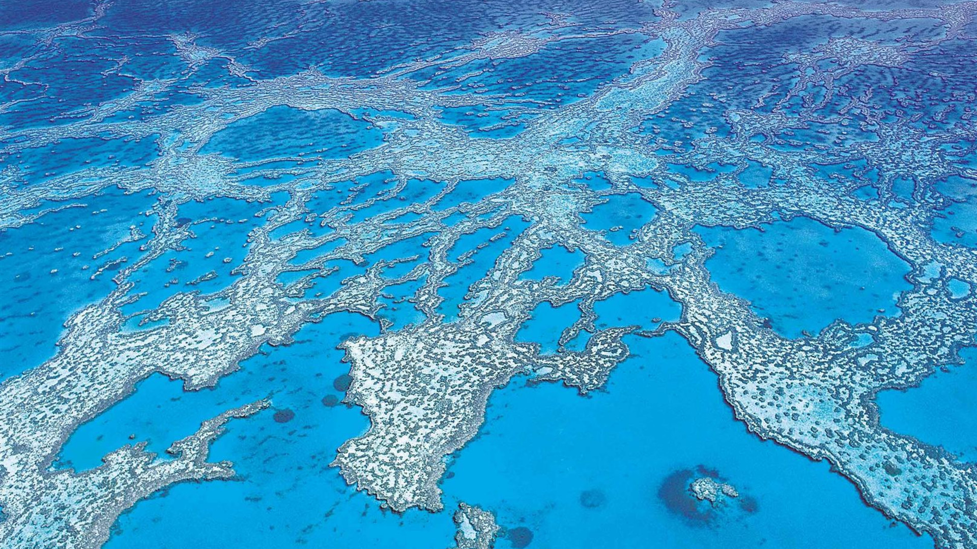 East Coast Australia Adventure