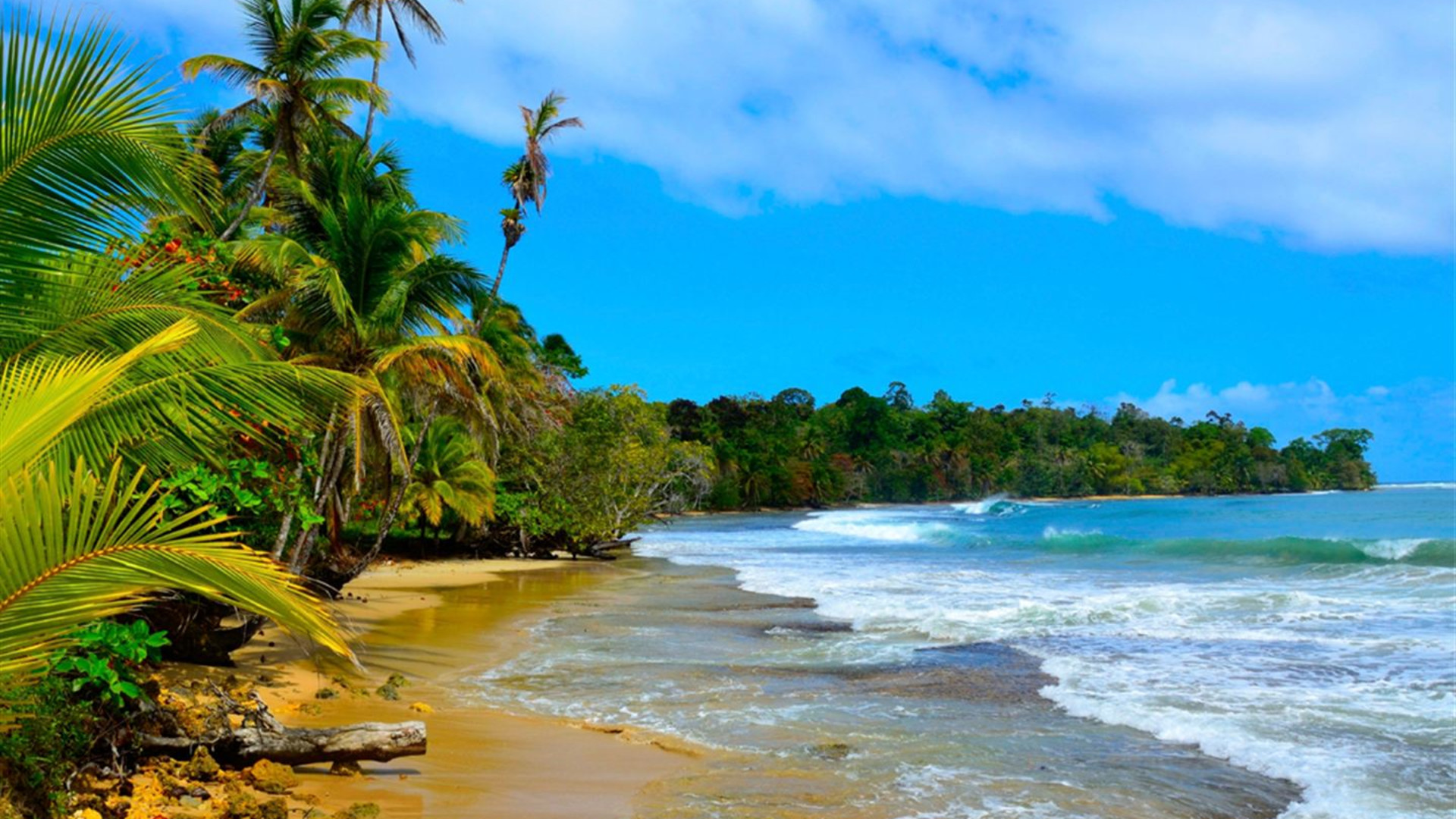 Von Costa Rica nach Panama: Surfen, Wandern und Sternenhimmel