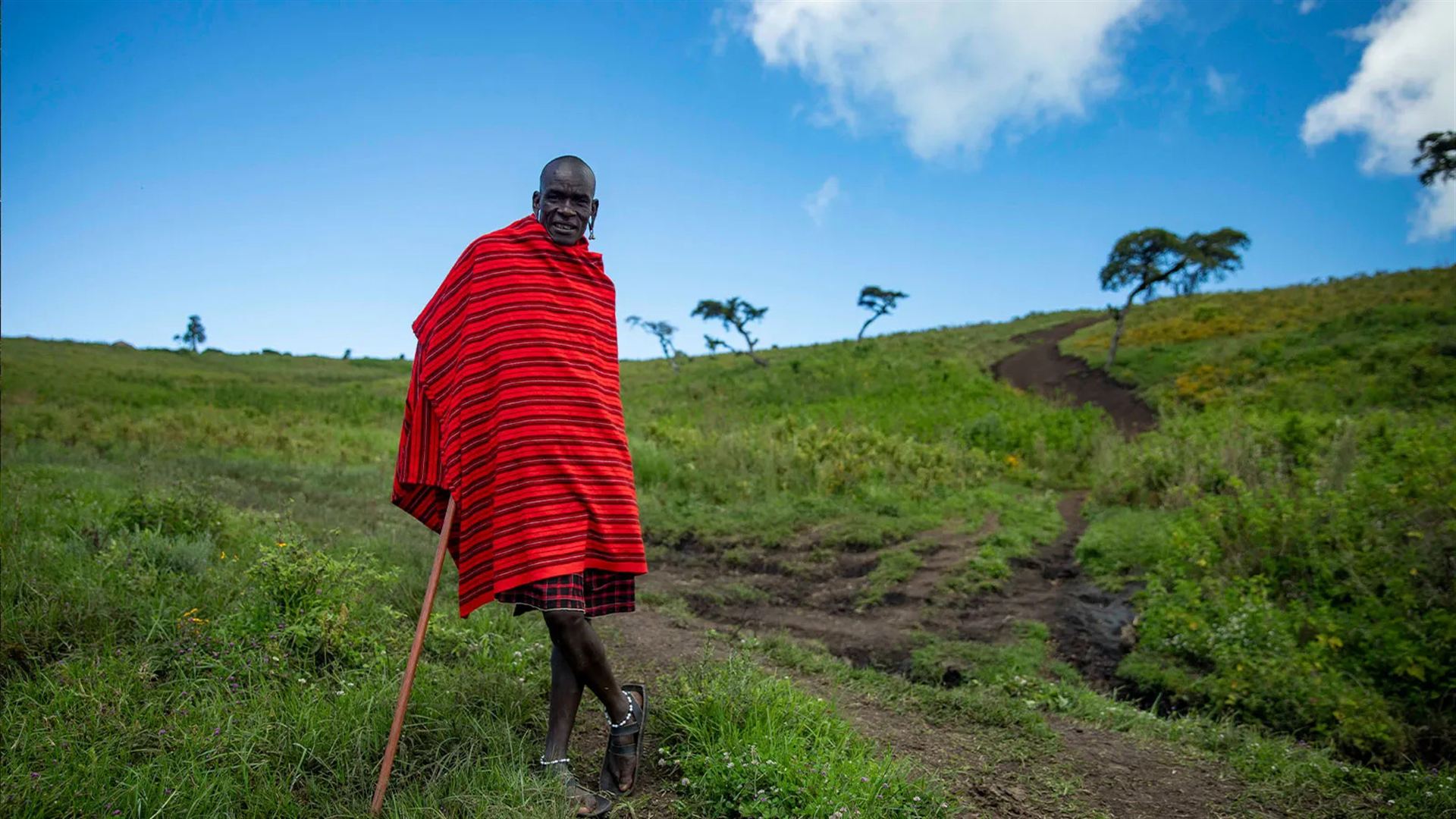 Signatur: Serengeti, Tarangire und Ngorongoro-Krater in Tansania