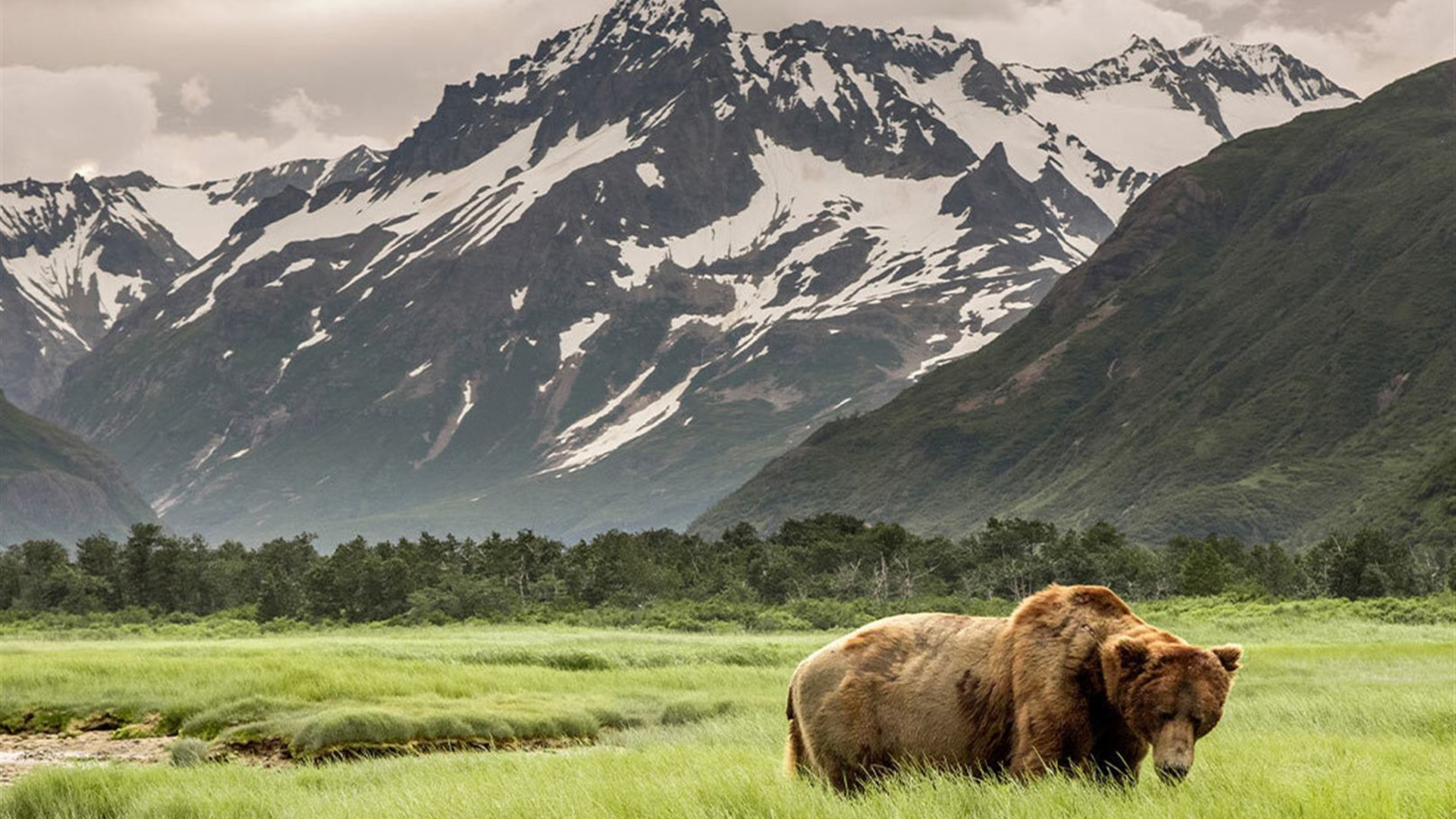 Hiking the Great Land of Alaska