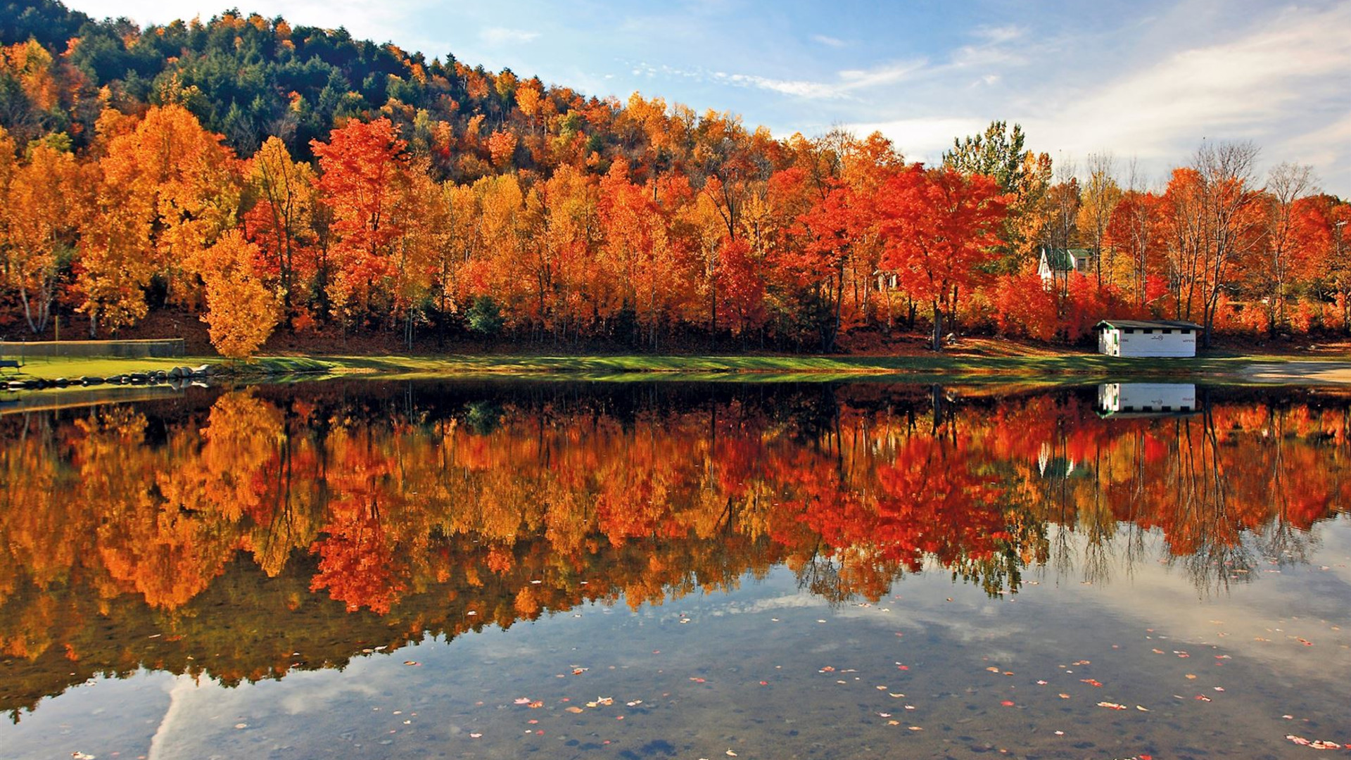 New England's Fall Foliage