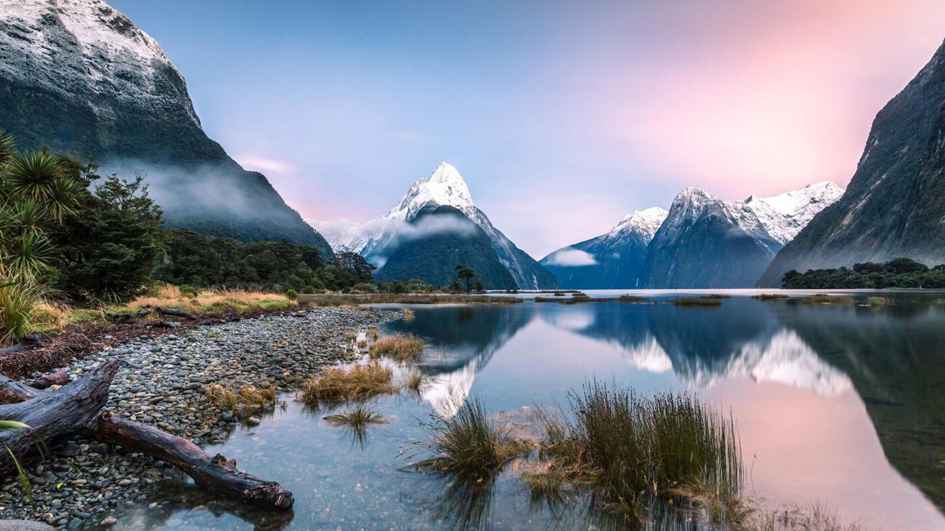 Contrasts Of New Zealand