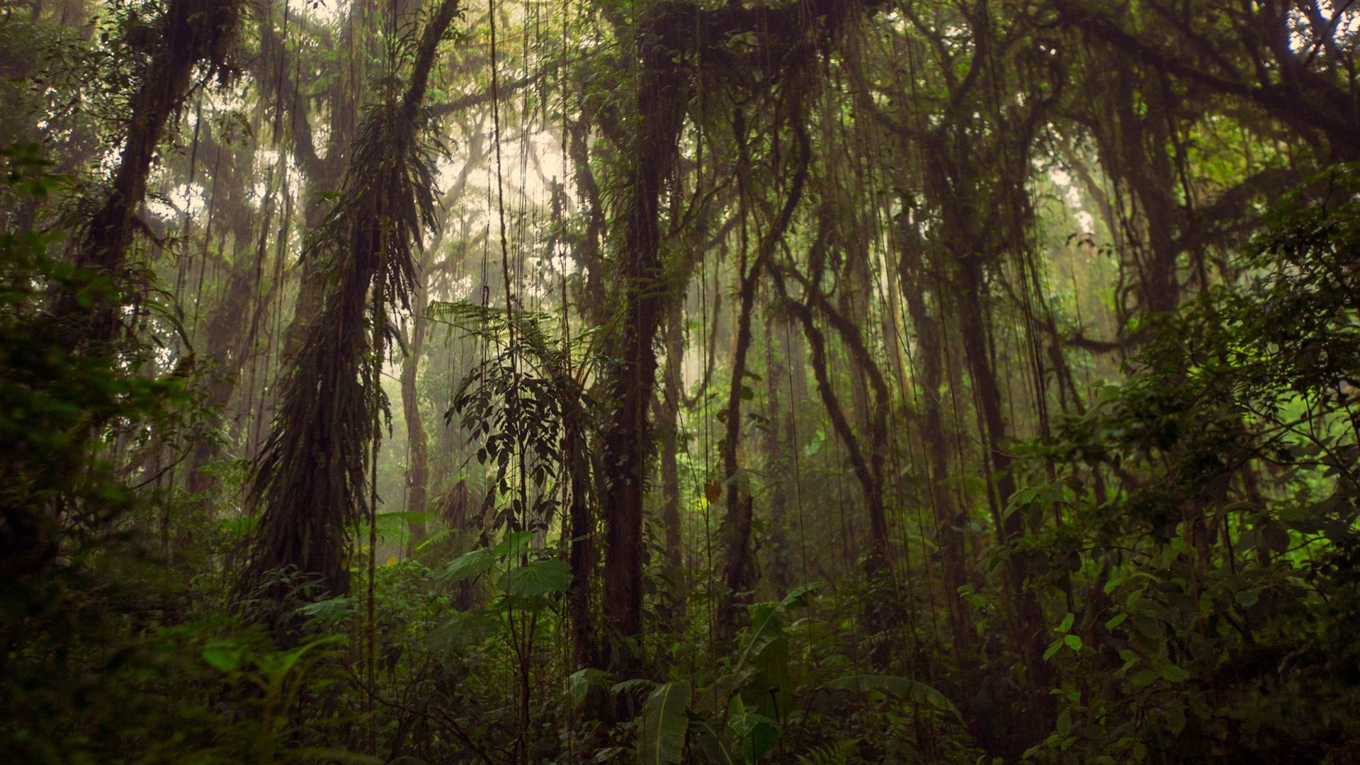 Journeys: Höhepunkte Costa Rica