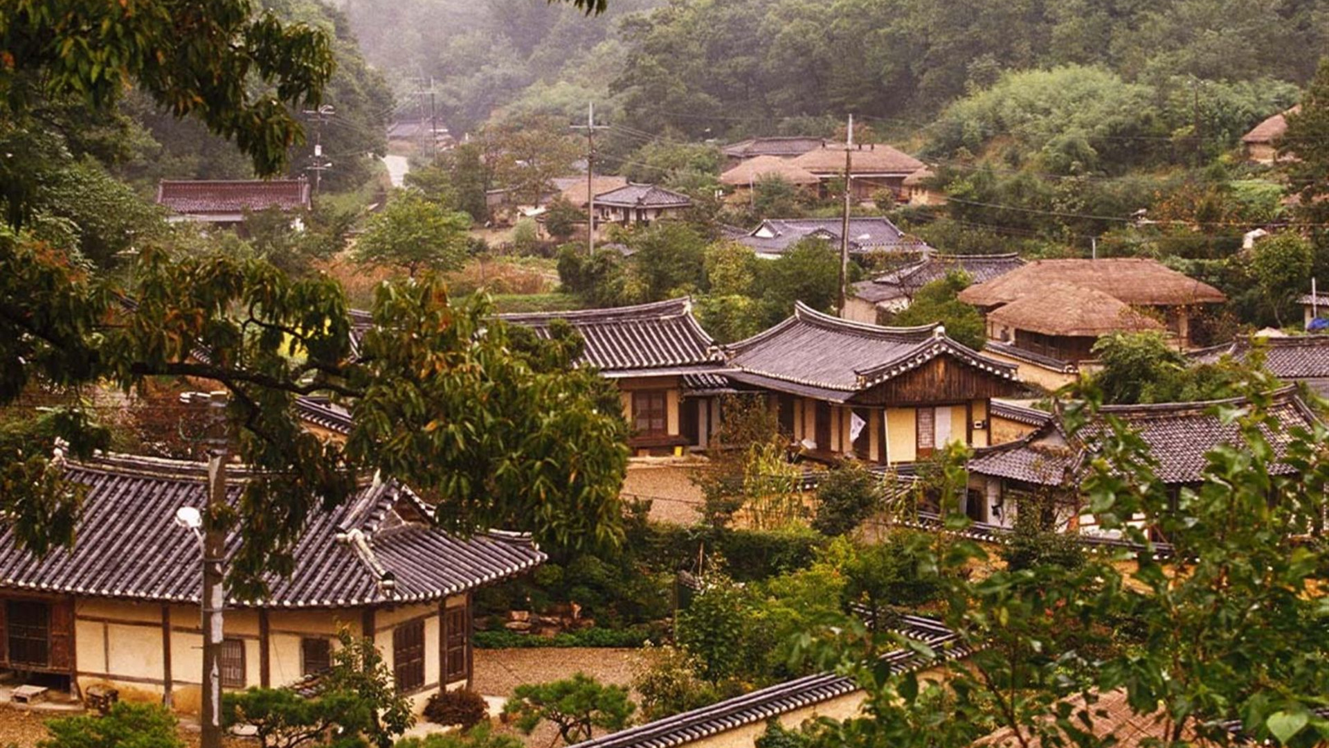 South Korea Family Holiday