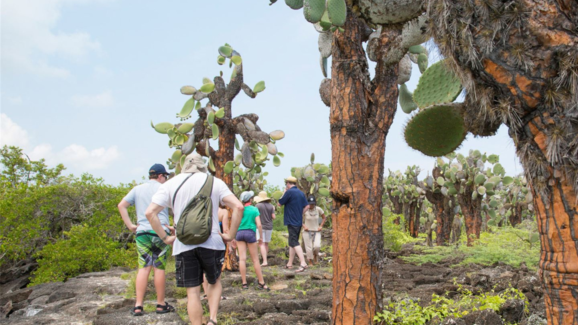 Galápagos – Östliche, zentrale und westliche Inseln an Bord der Eden