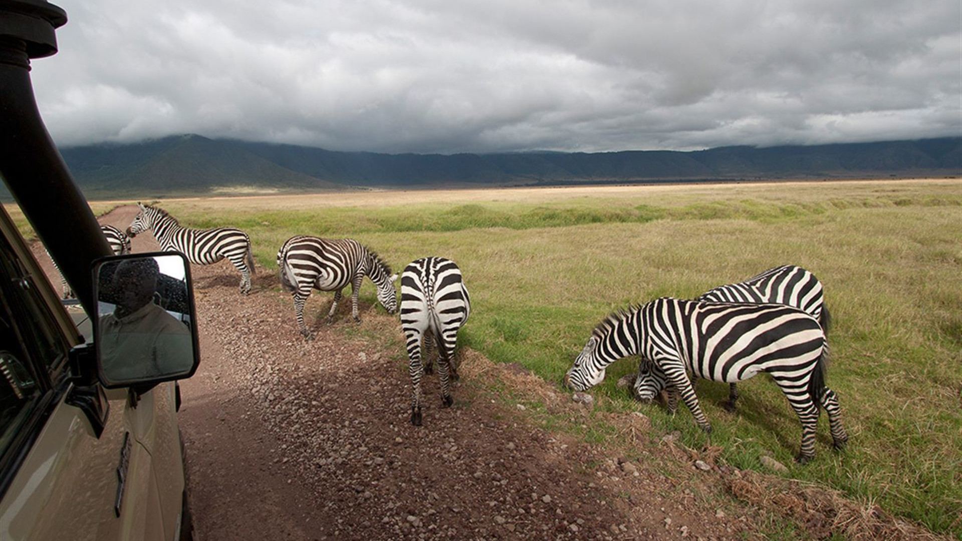 Signatur: Serengeti, Tarangire und Ngorongoro-Krater in Tansania