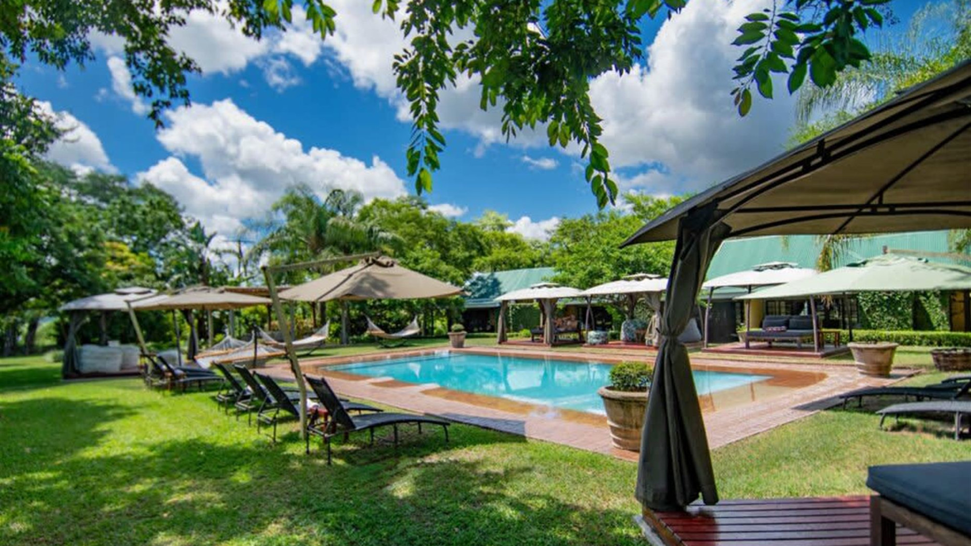 Essential Kruger Safari