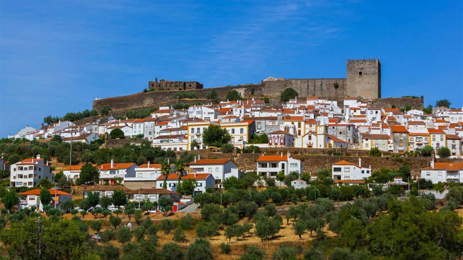 Portugal Real Food Adventure