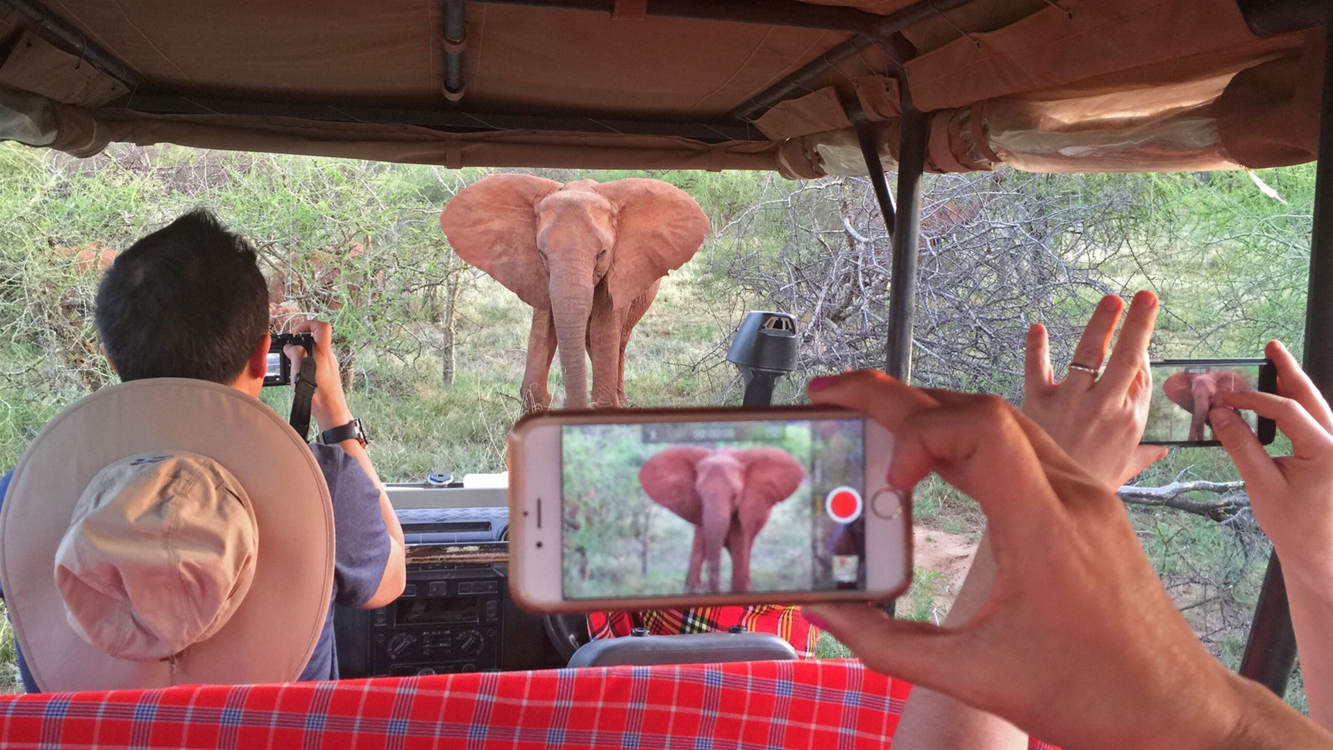Signature: Southern Africa's Kruger, Chobe & Victoria Falls