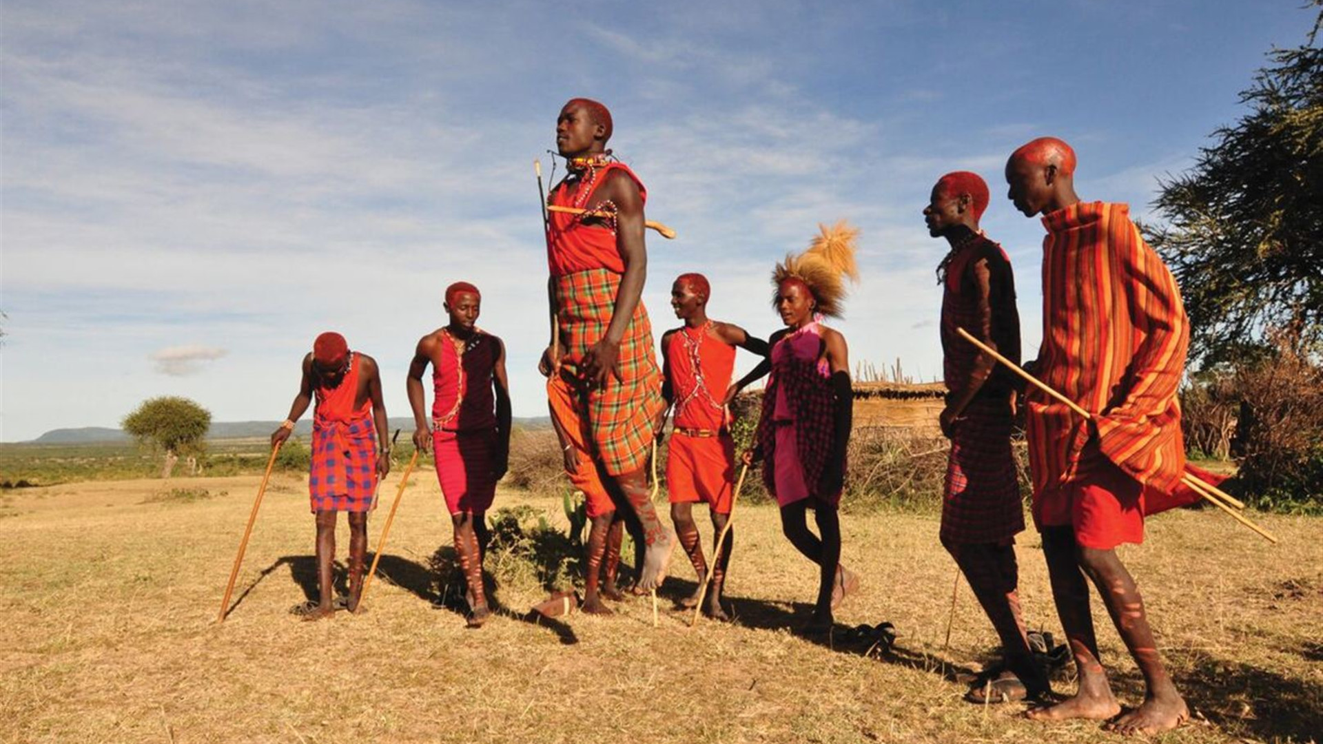 Gorillas & Game Parks