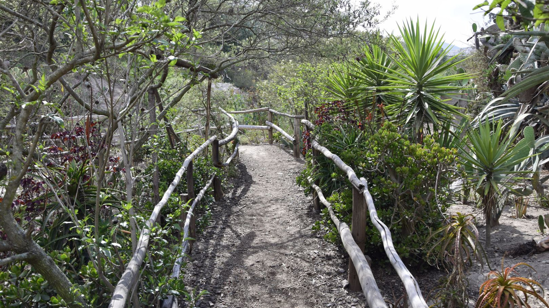 Signature: Ecuador's Amazon Rainforest & Andean Highlands