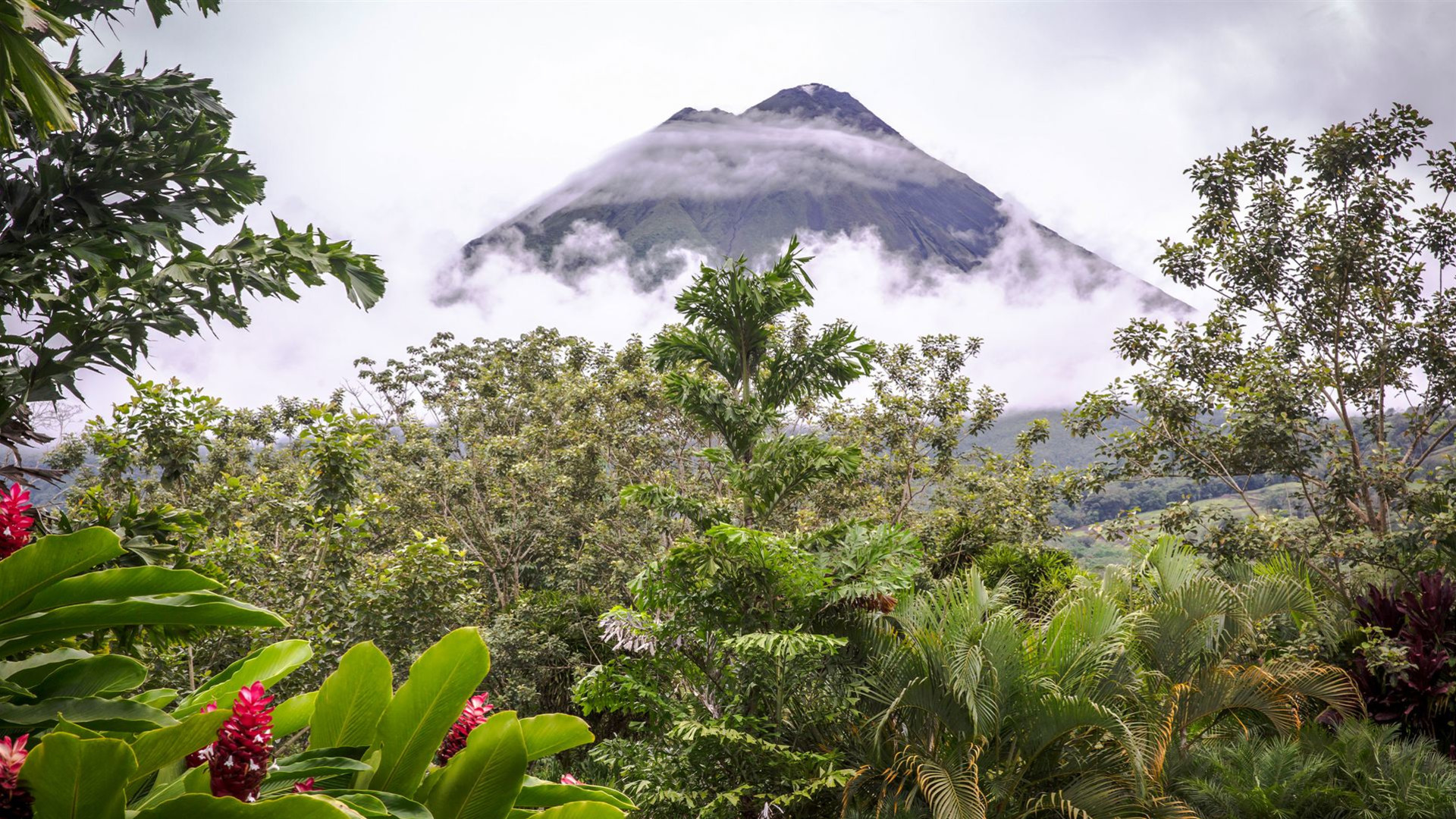 Basic Mittelamerika: Guatemala bis Costa Rica