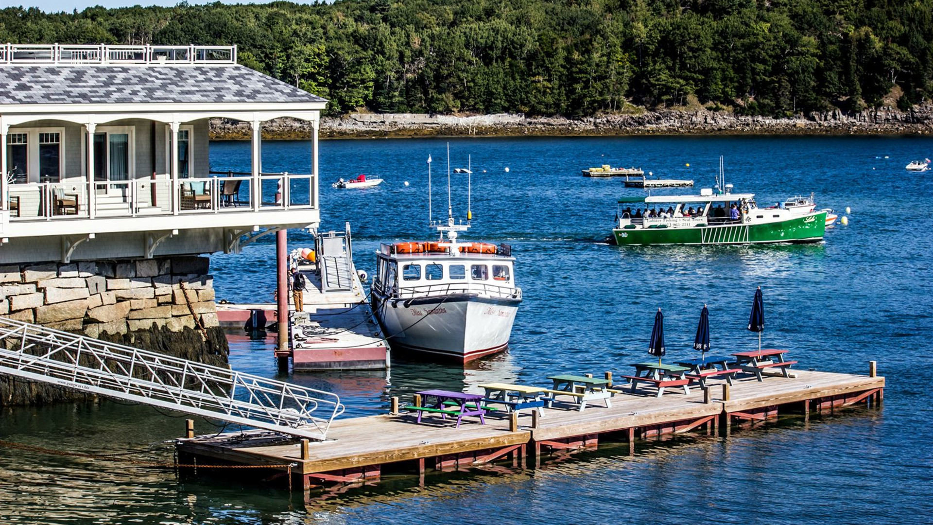 Roaming Coastal Maine